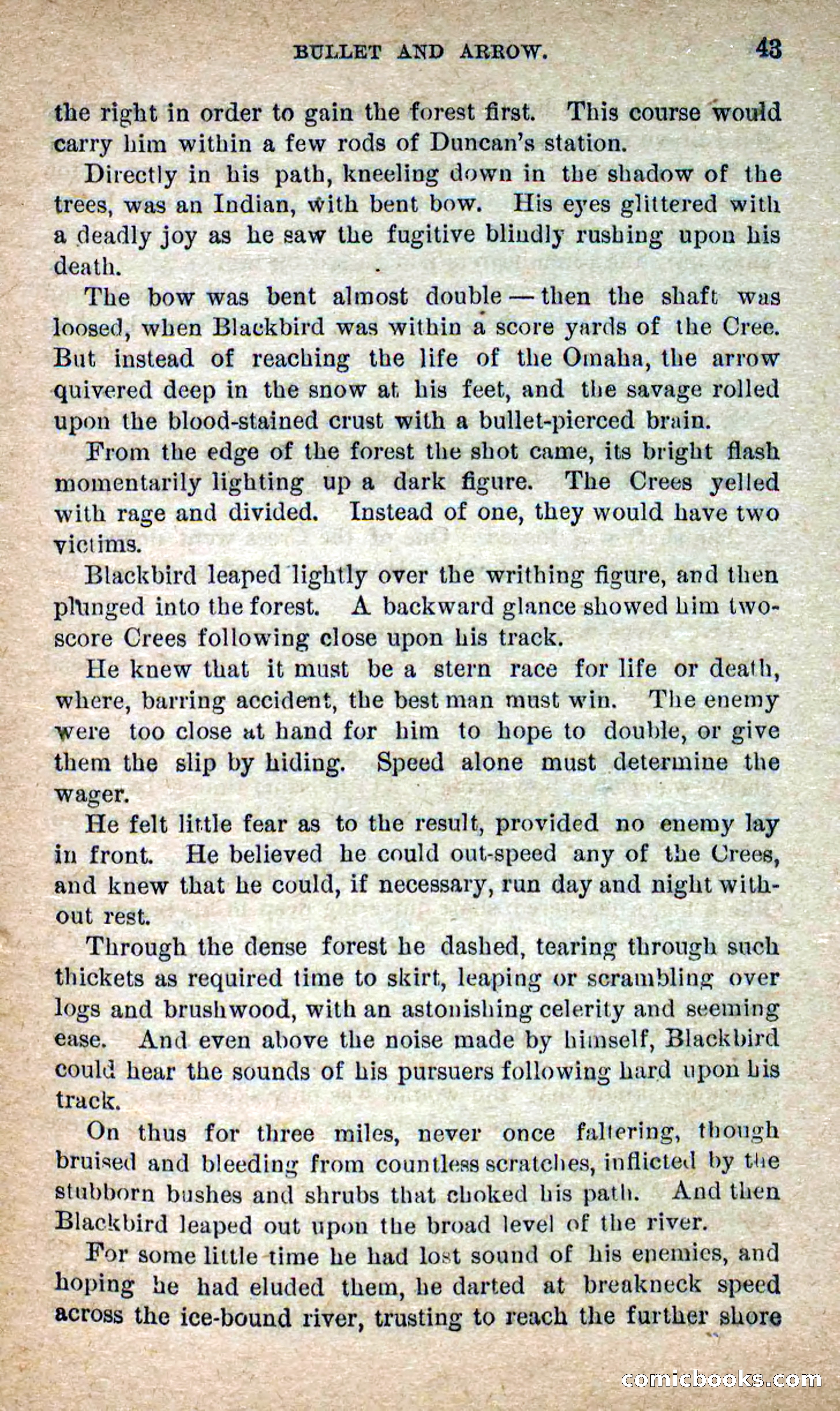 The Lone Chief — page 39 of 100
