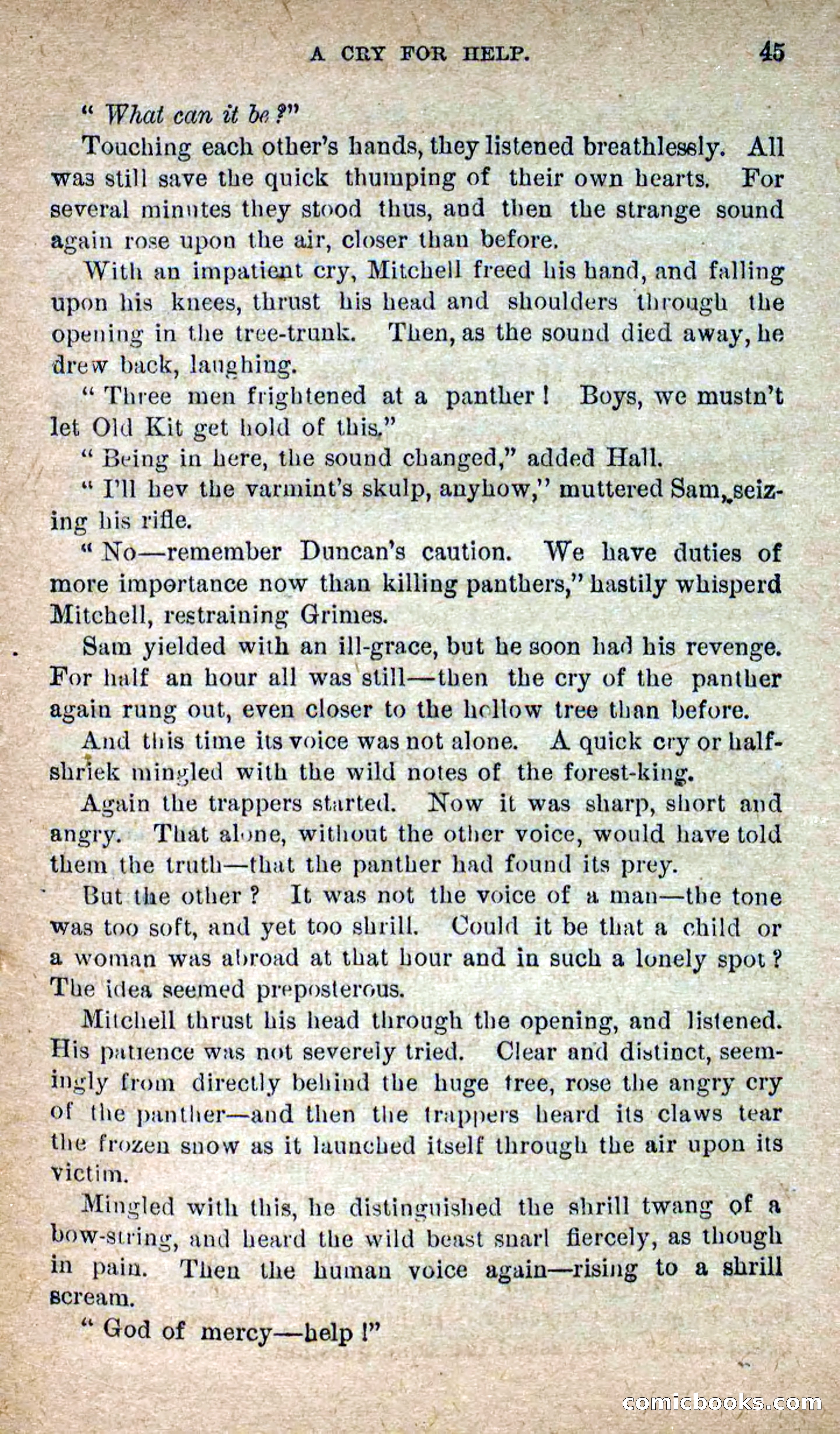 The Lone Chief — page 41 of 100