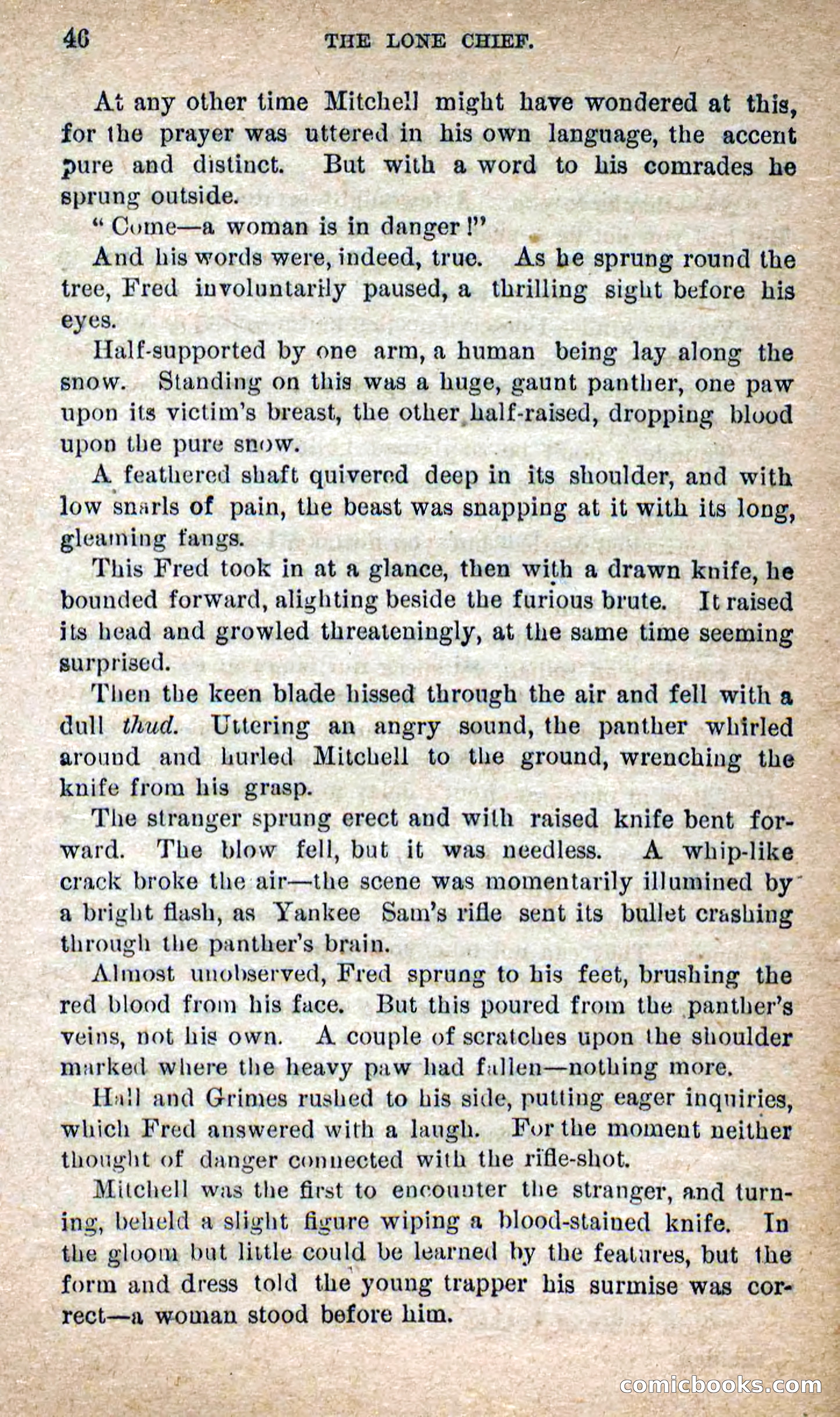 The Lone Chief — page 42 of 100