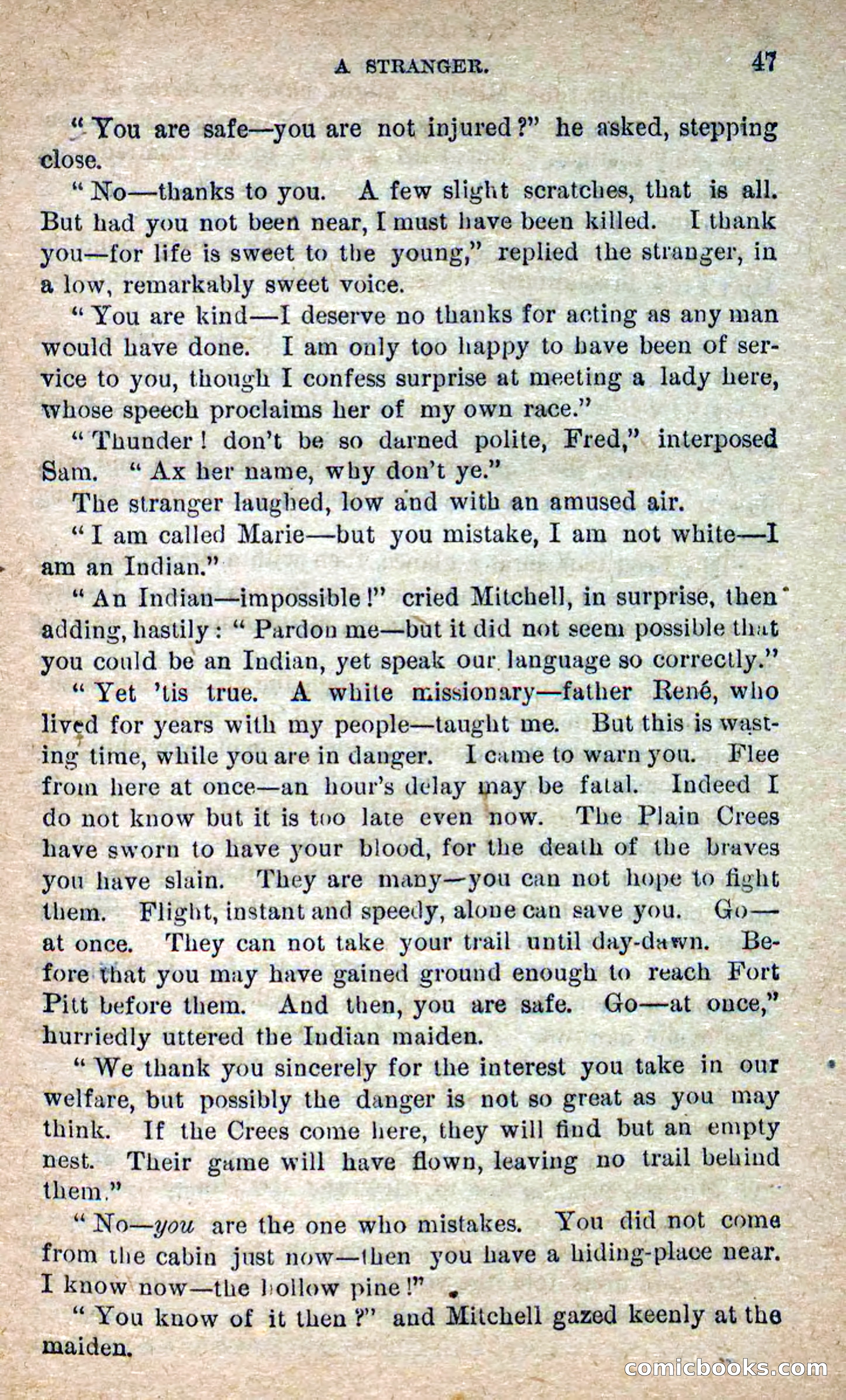 The Lone Chief — page 43 of 100