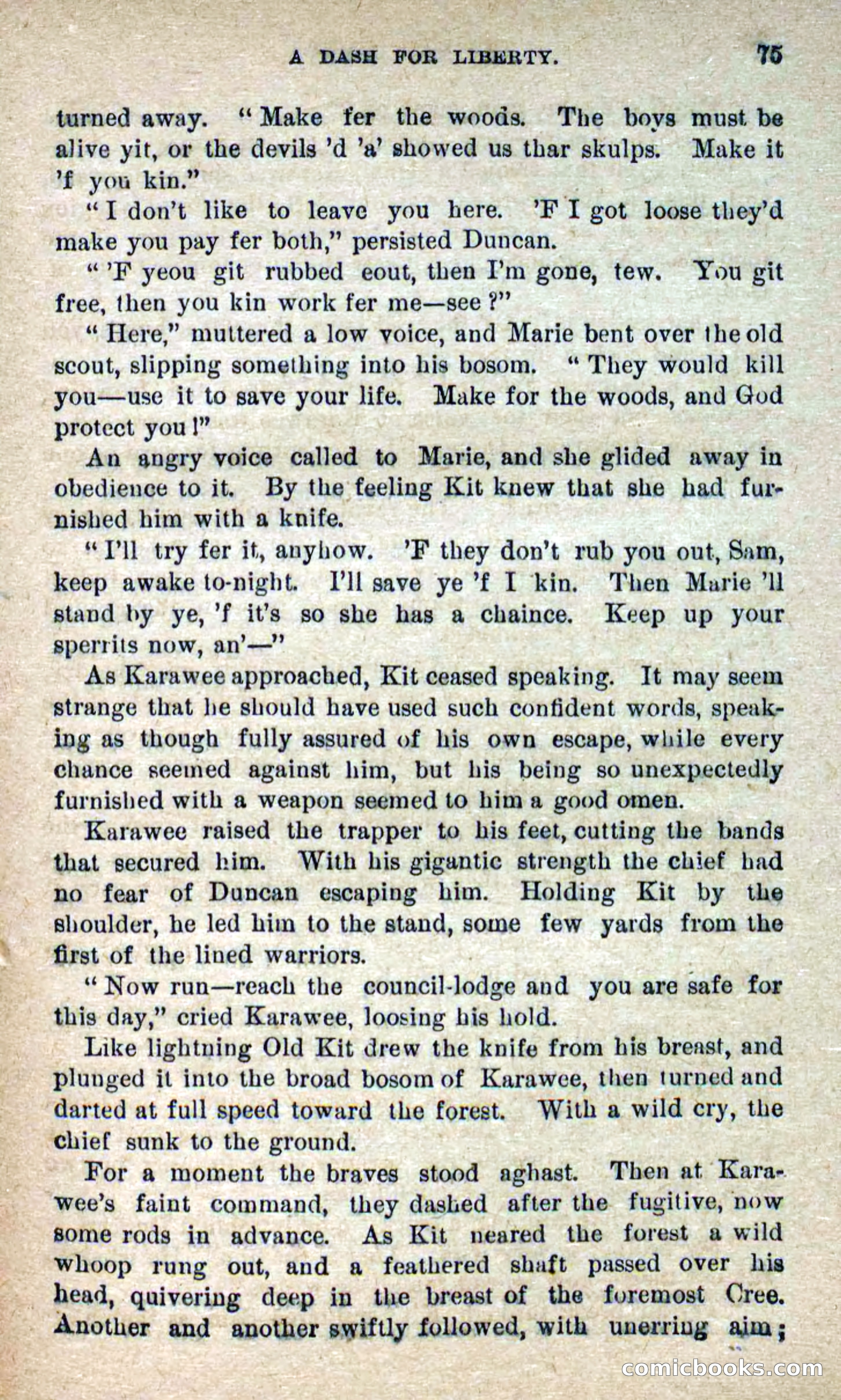 The Lone Chief — page 71 of 100