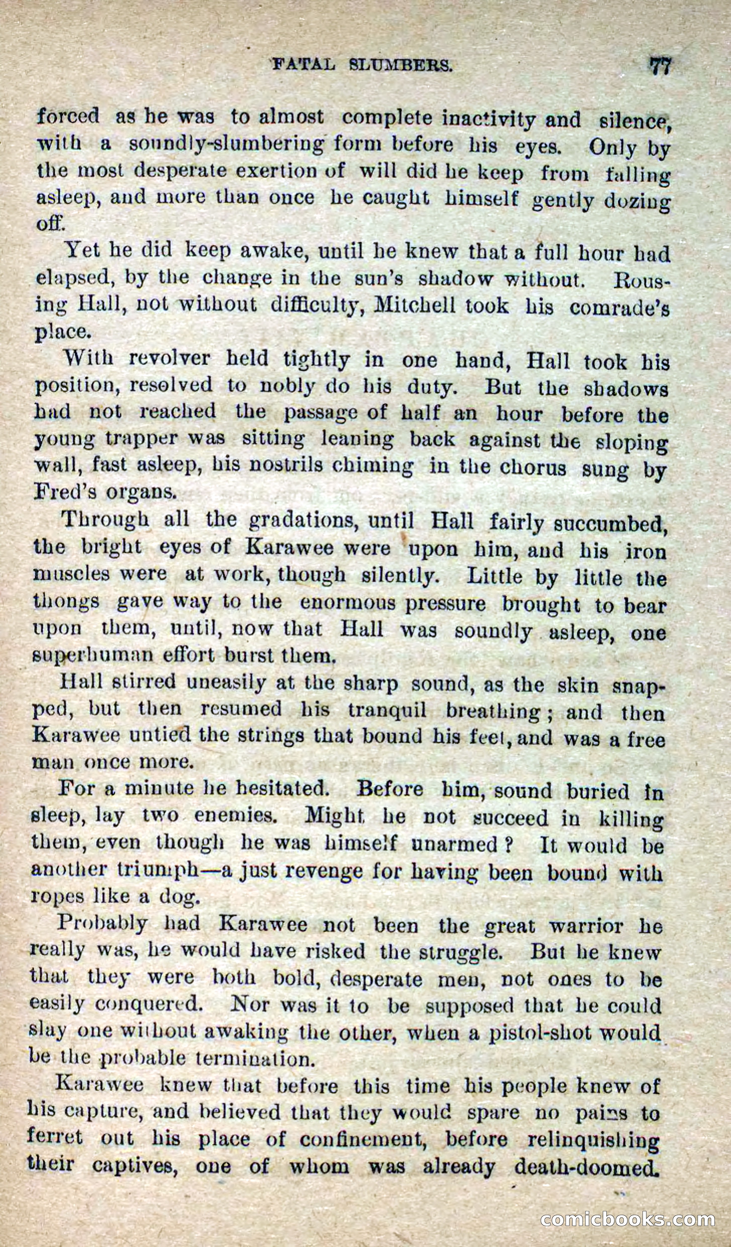 The Lone Chief — page 73 of 100
