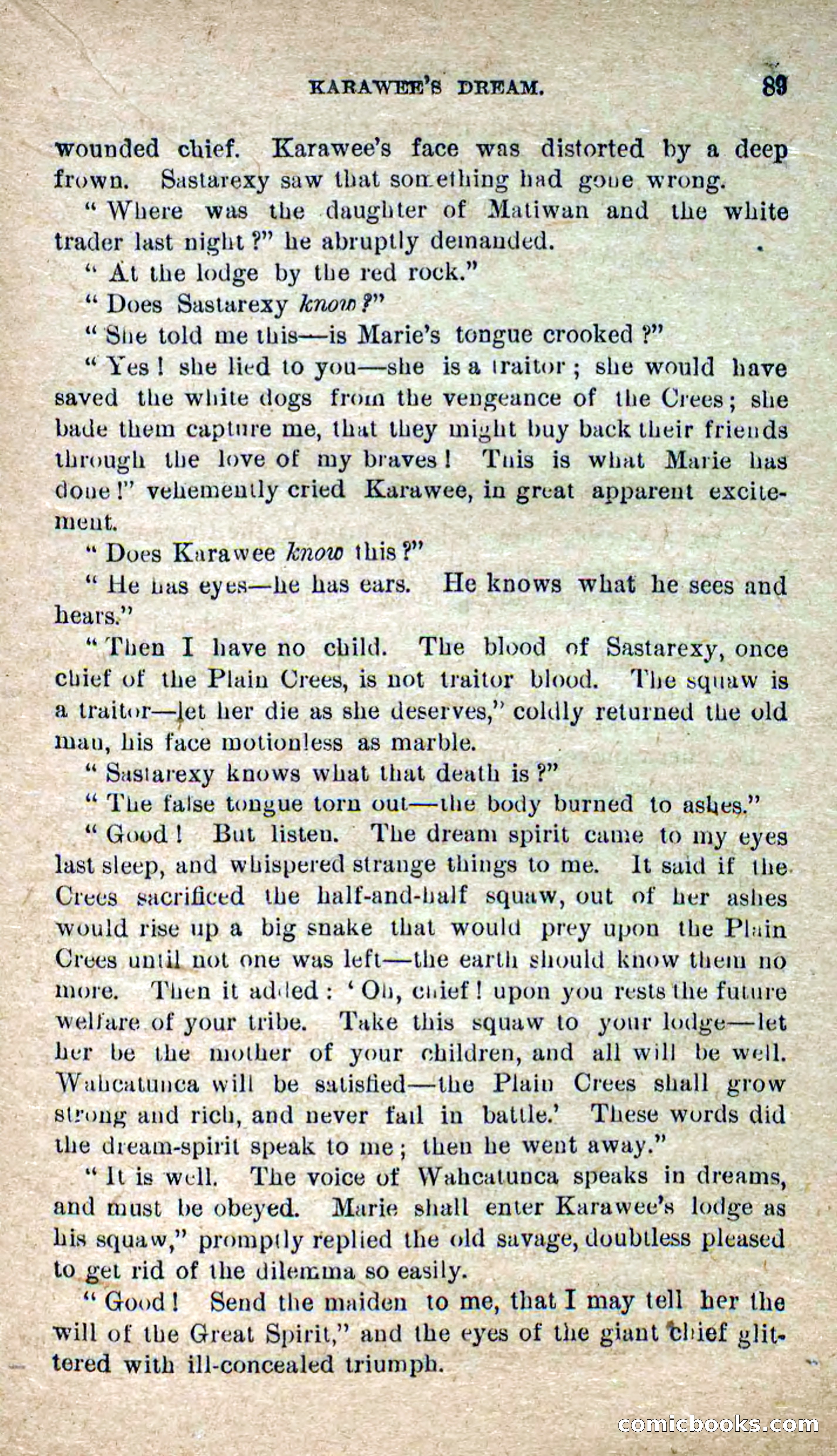 The Lone Chief — page 85 of 100