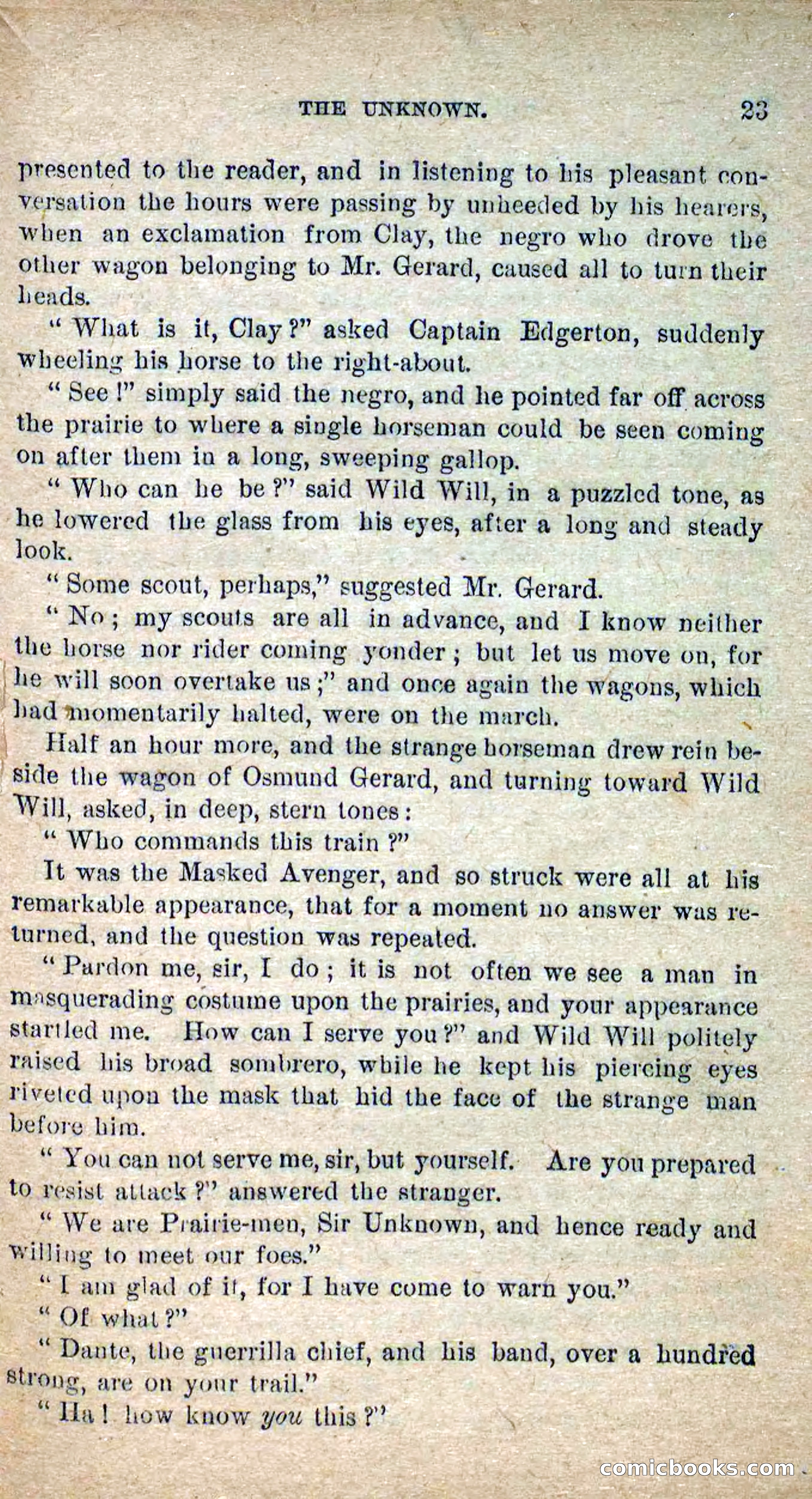 The Masked Avenger; or, Death on the Trail — page 21 of 96