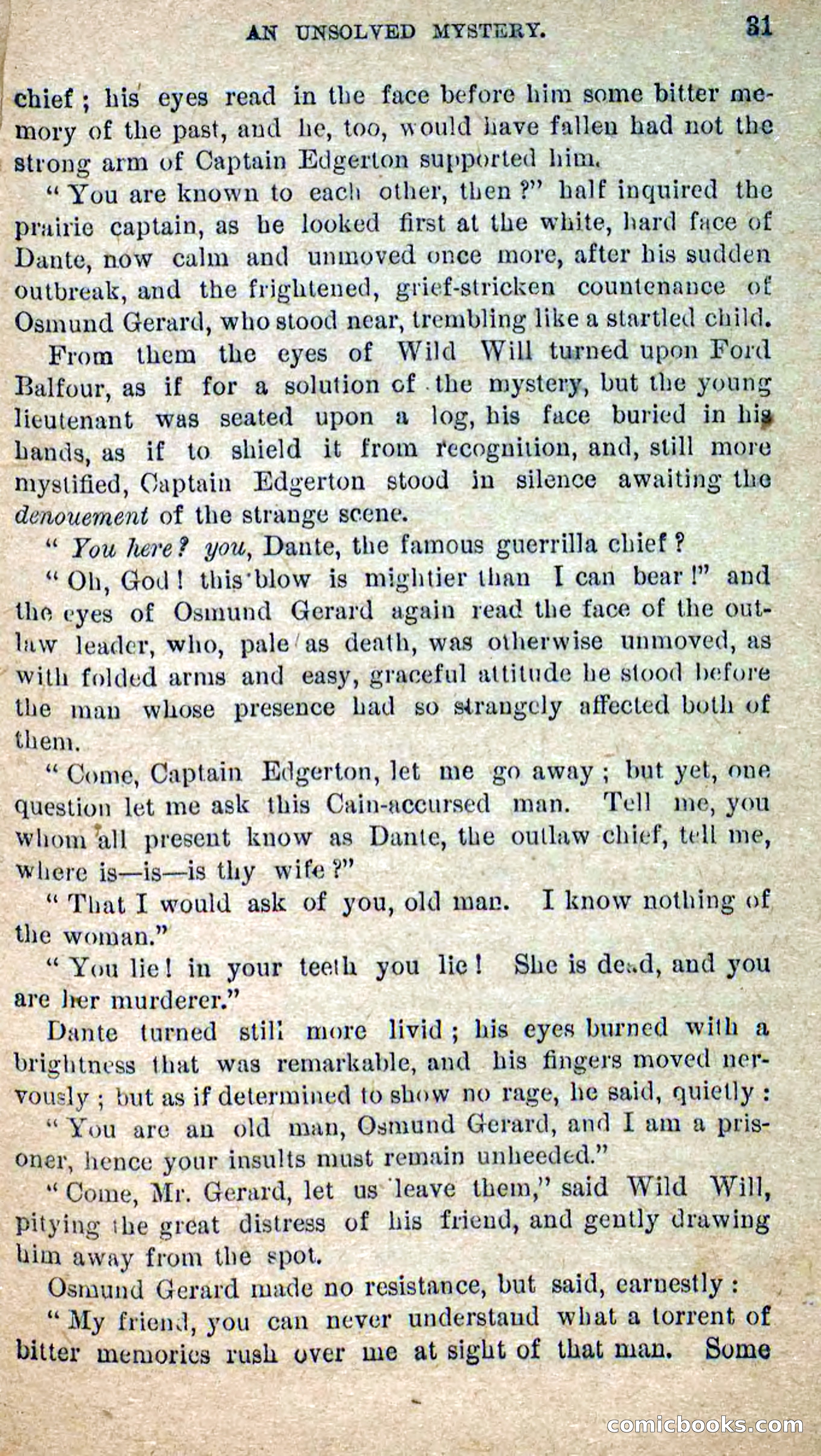 The Masked Avenger; or, Death on the Trail — page 29 of 96