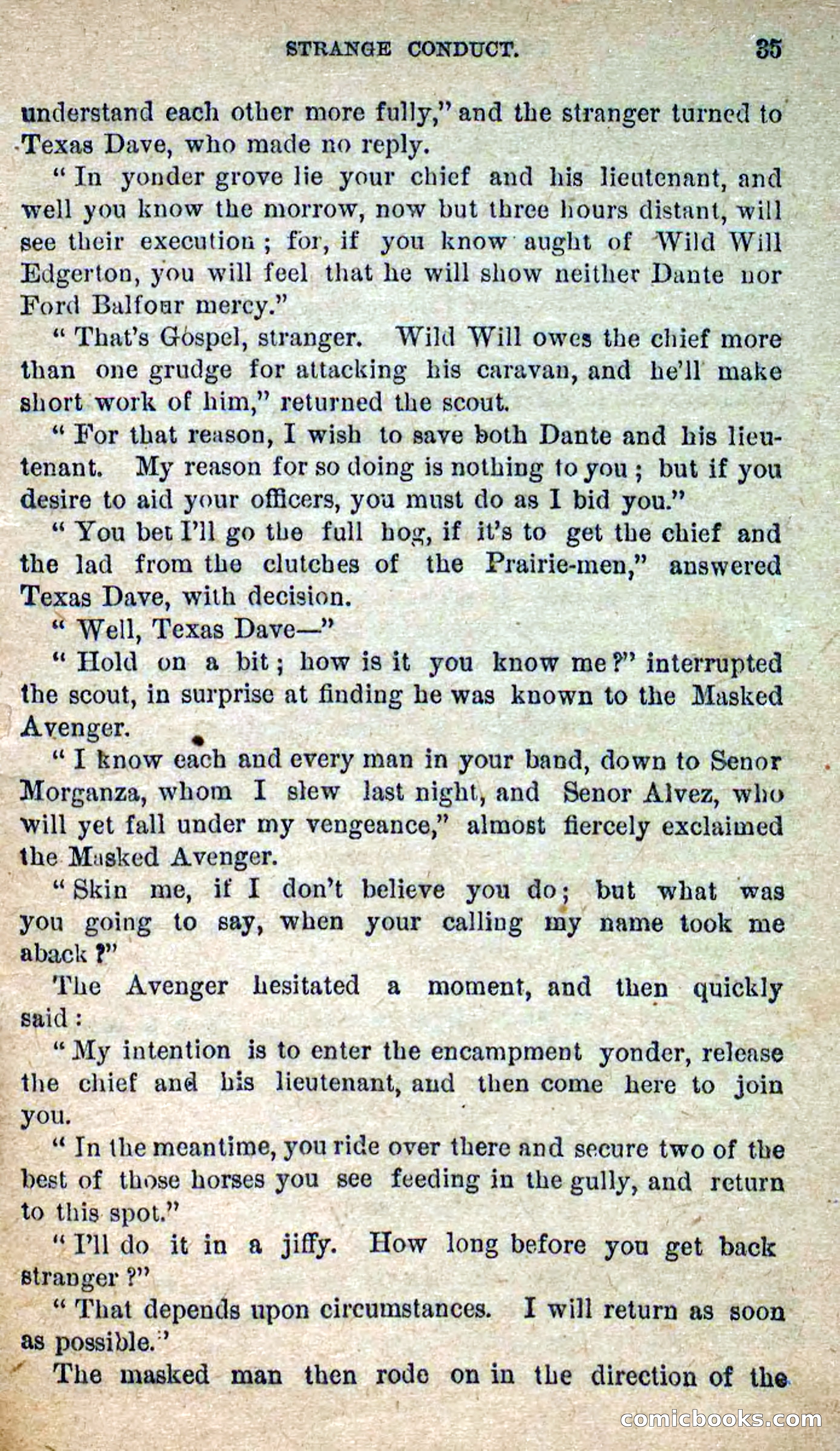 The Masked Avenger; or, Death on the Trail — page 33 of 96