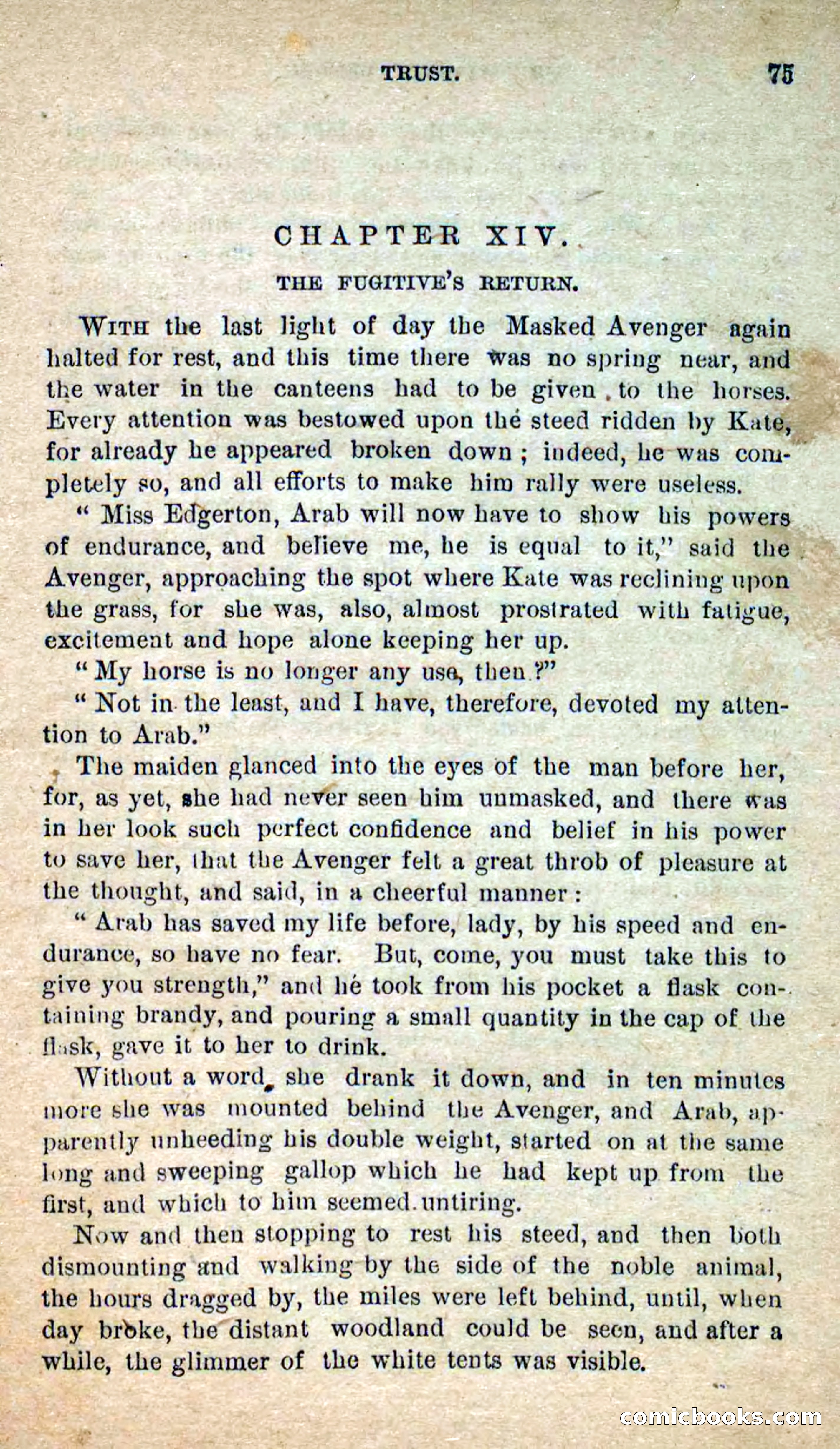 The Masked Avenger; or, Death on the Trail — page 73 of 96
