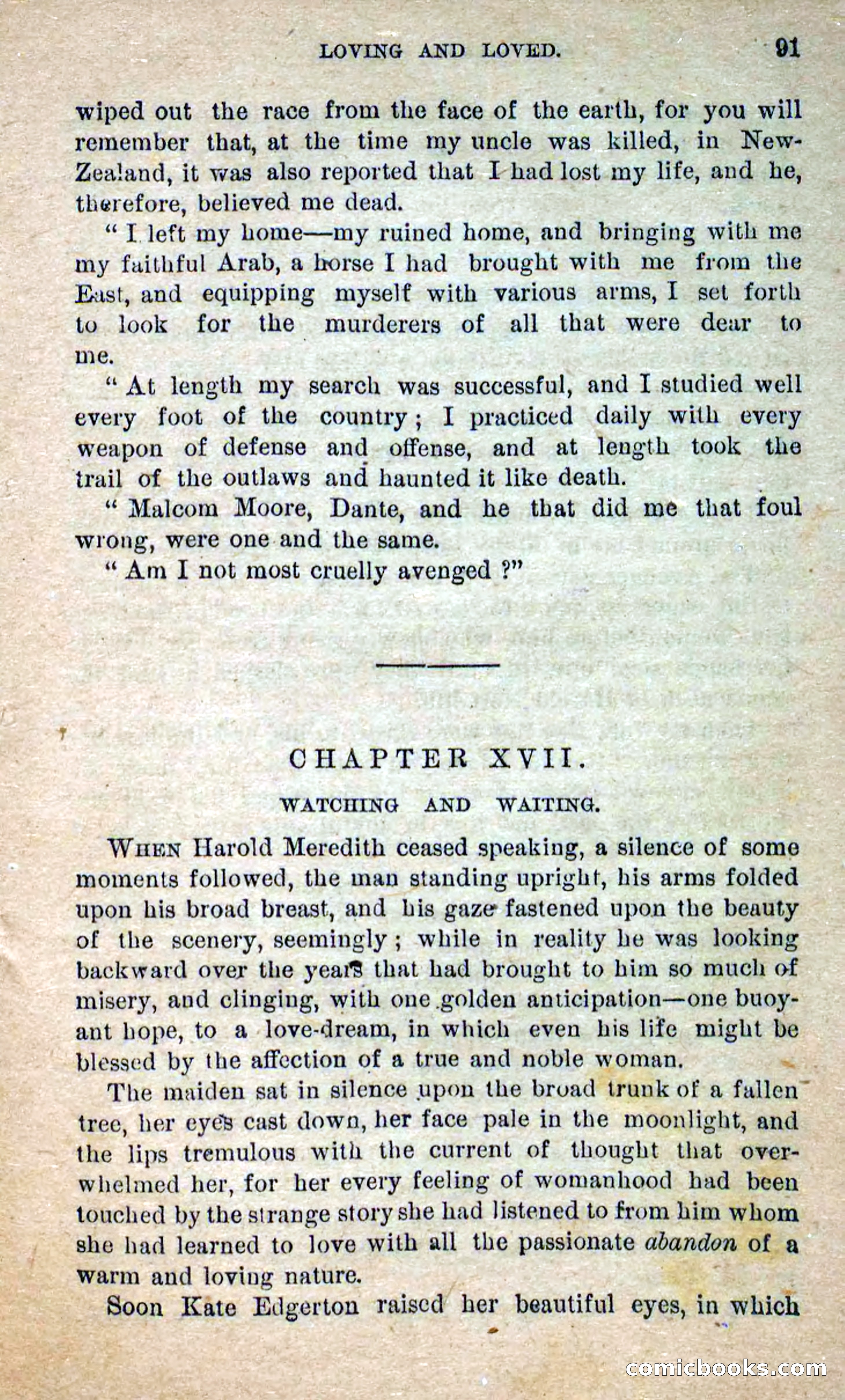 The Masked Avenger; or, Death on the Trail — page 89 of 96