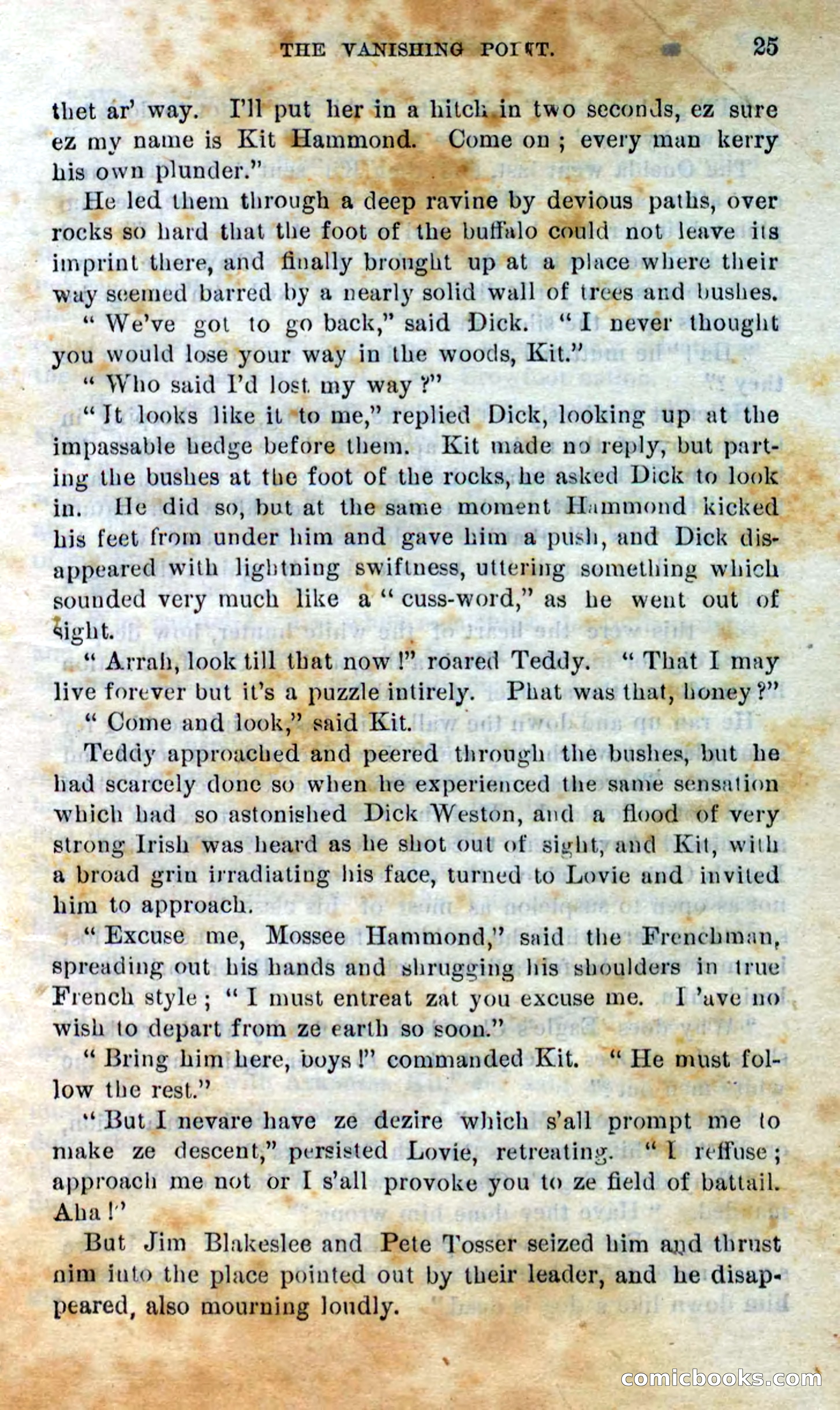 Beadle's Dime Novels No. 295 — page 23 of 100