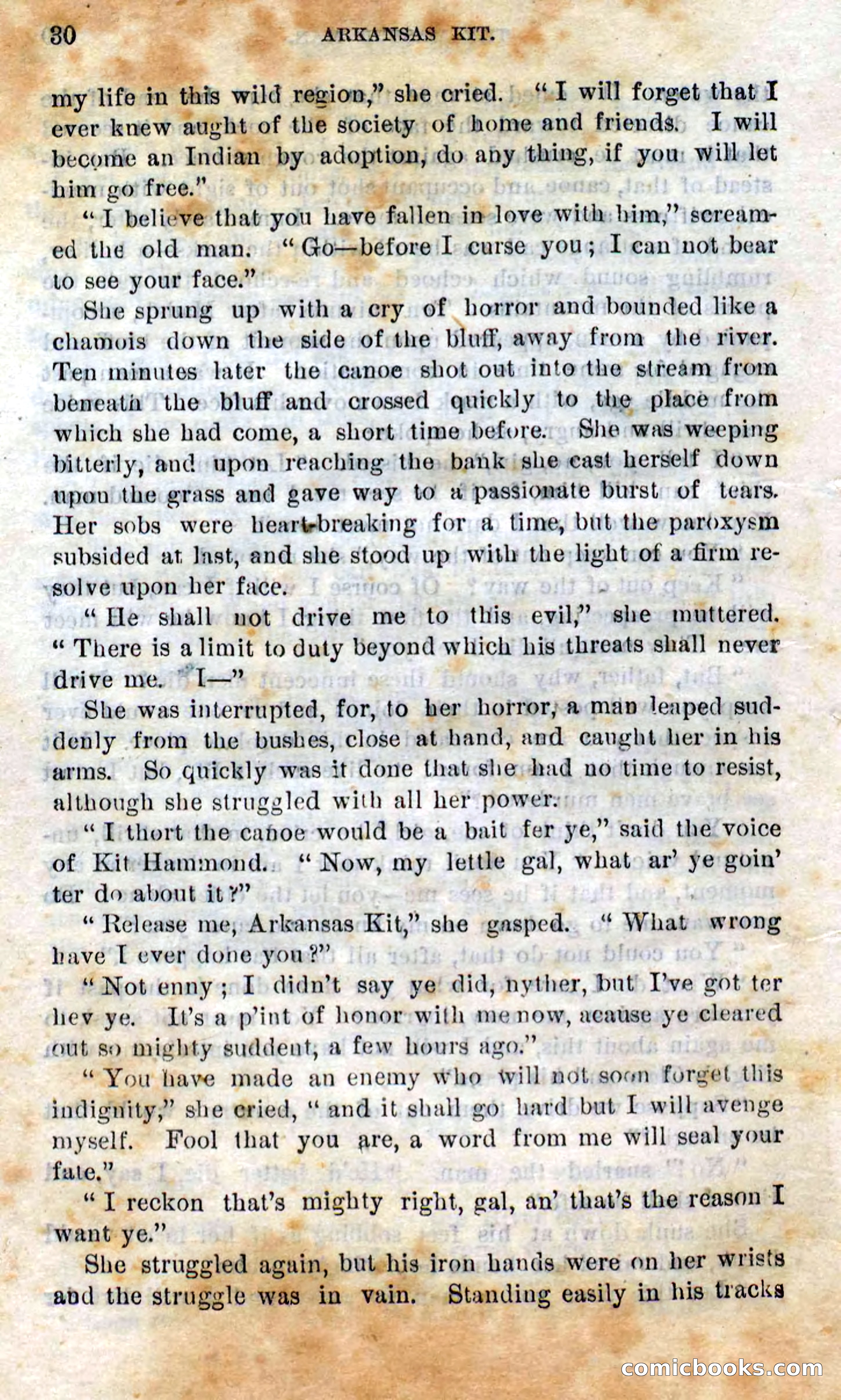 Beadle's Dime Novels No. 295 — page 28 of 100