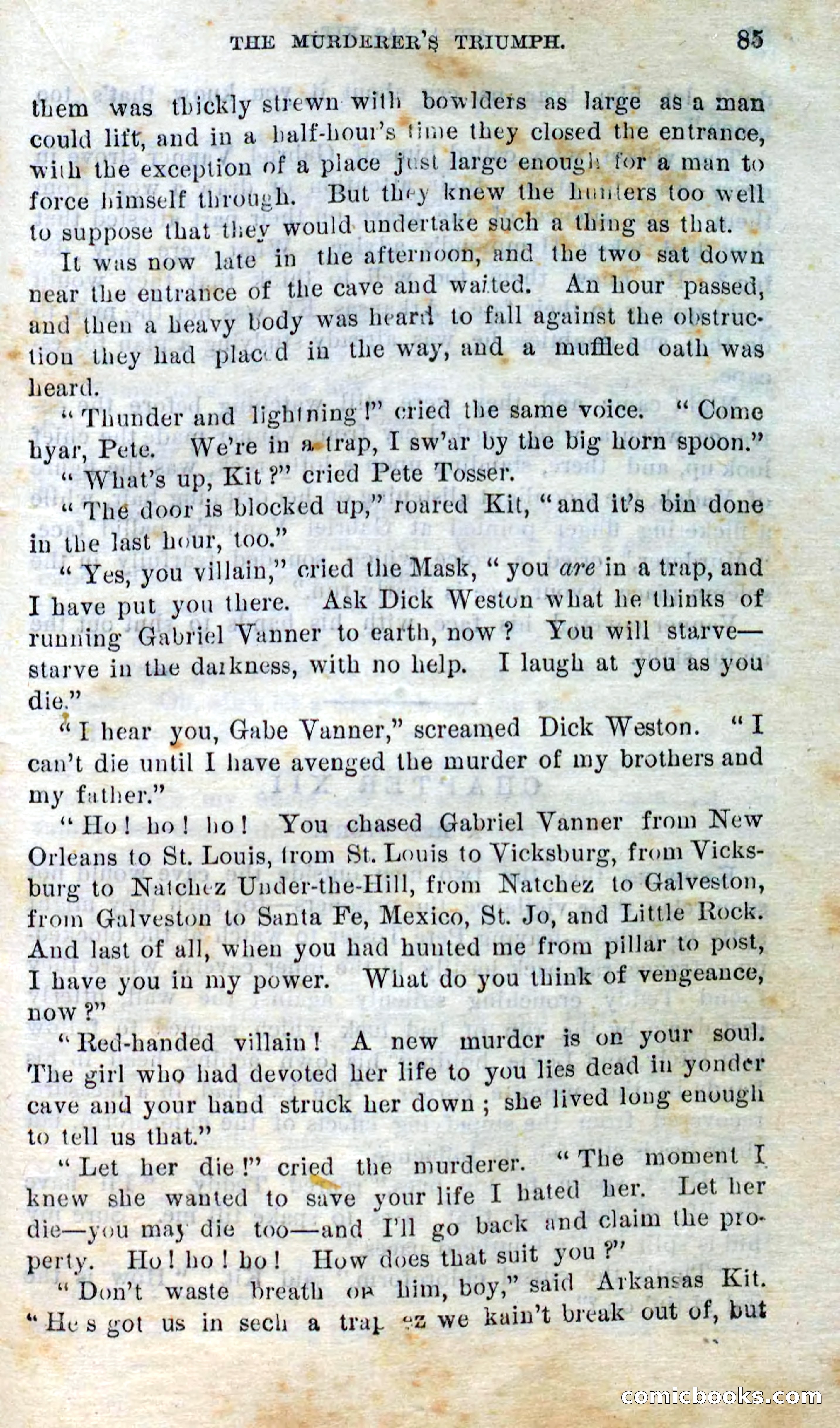 Beadle's Dime Novels No. 295 — page 83 of 100
