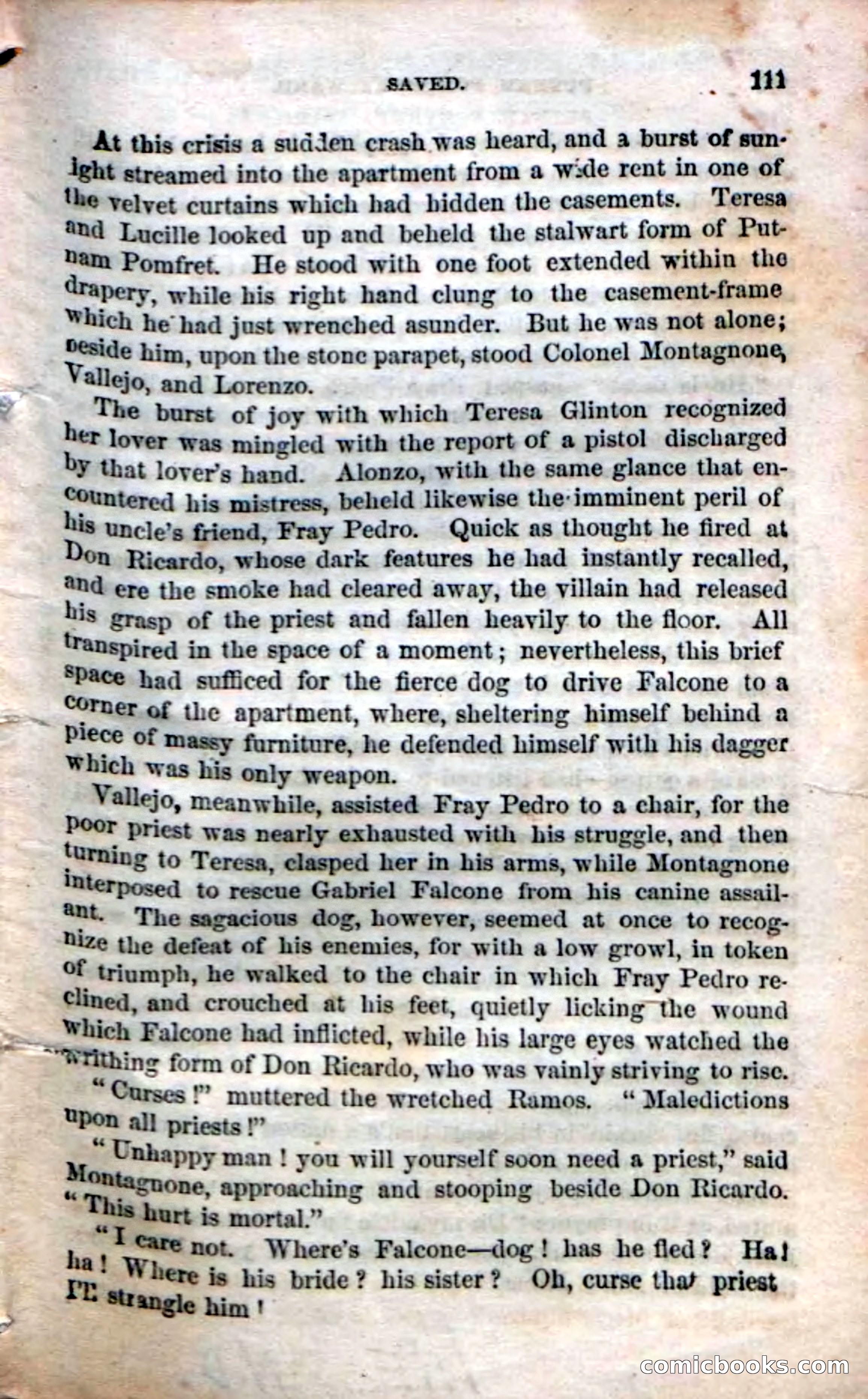 Beadle's Dime Novels No. 30: Popham Frett's Ward — page 113 of 118
