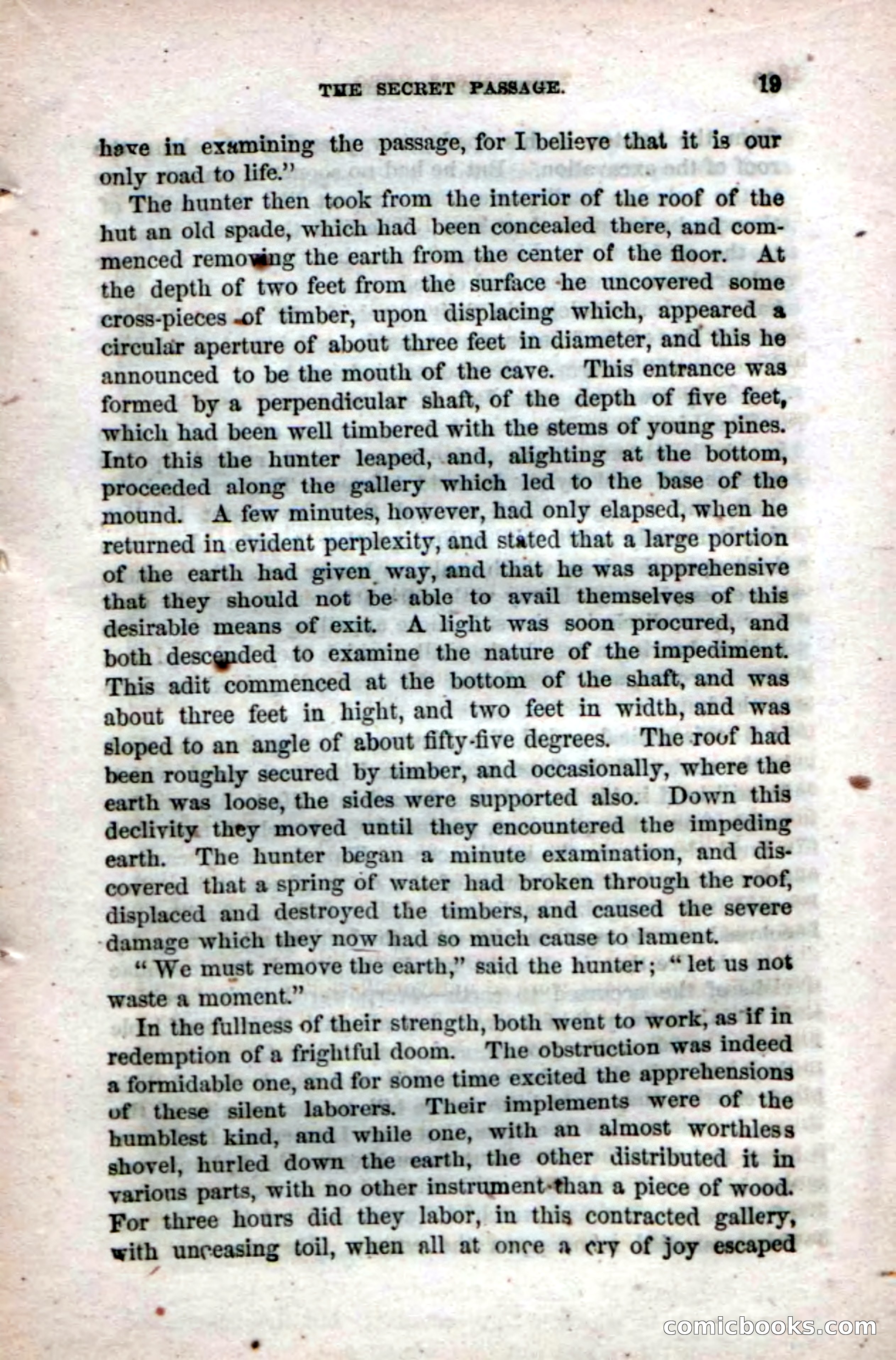 The Double Hero: A Tale of Sea and Land, During the War of 1812 — page 21 of 108