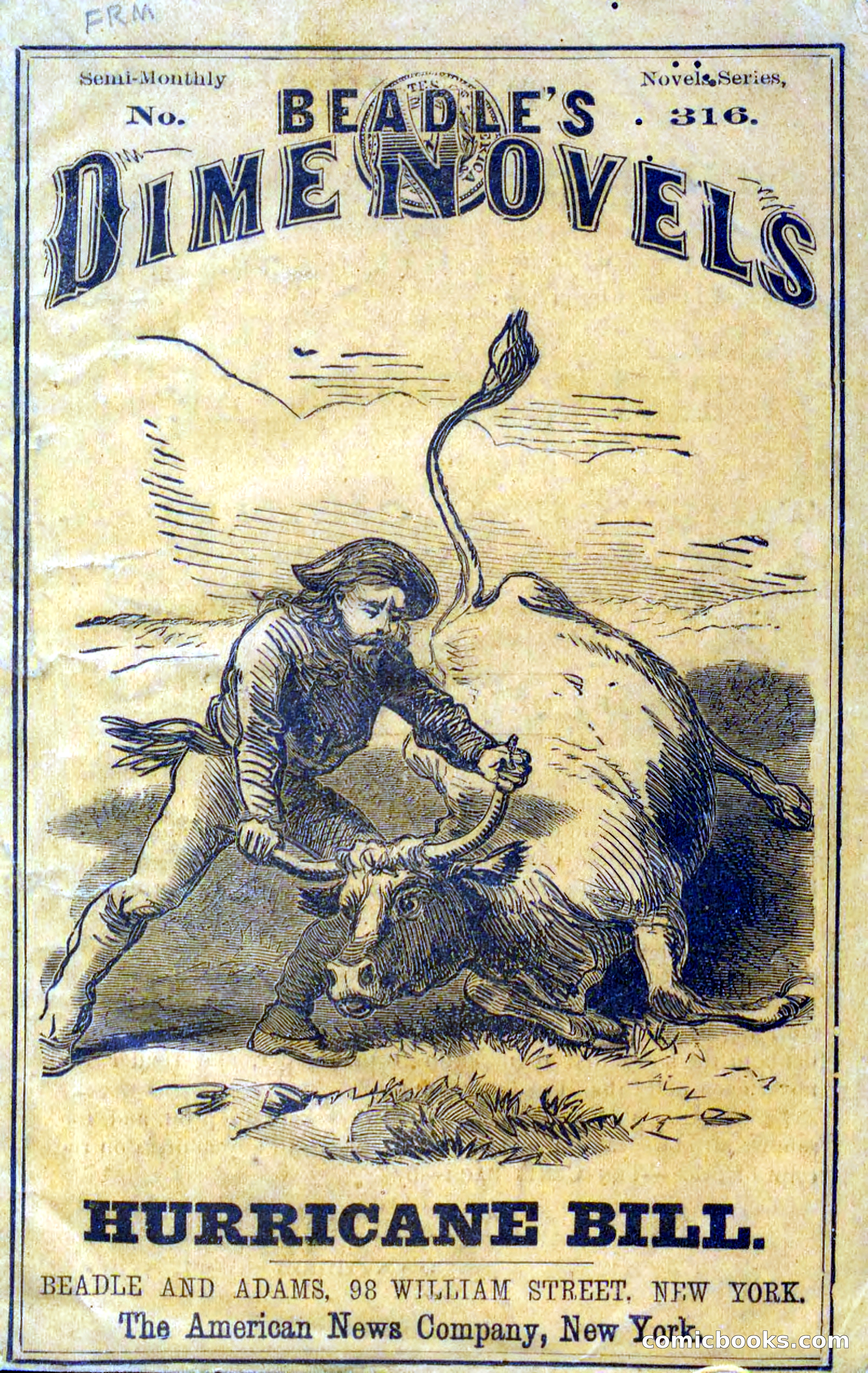 Beadle's Dime Novels No. 316: Hurricane Bill — page 1 of 100