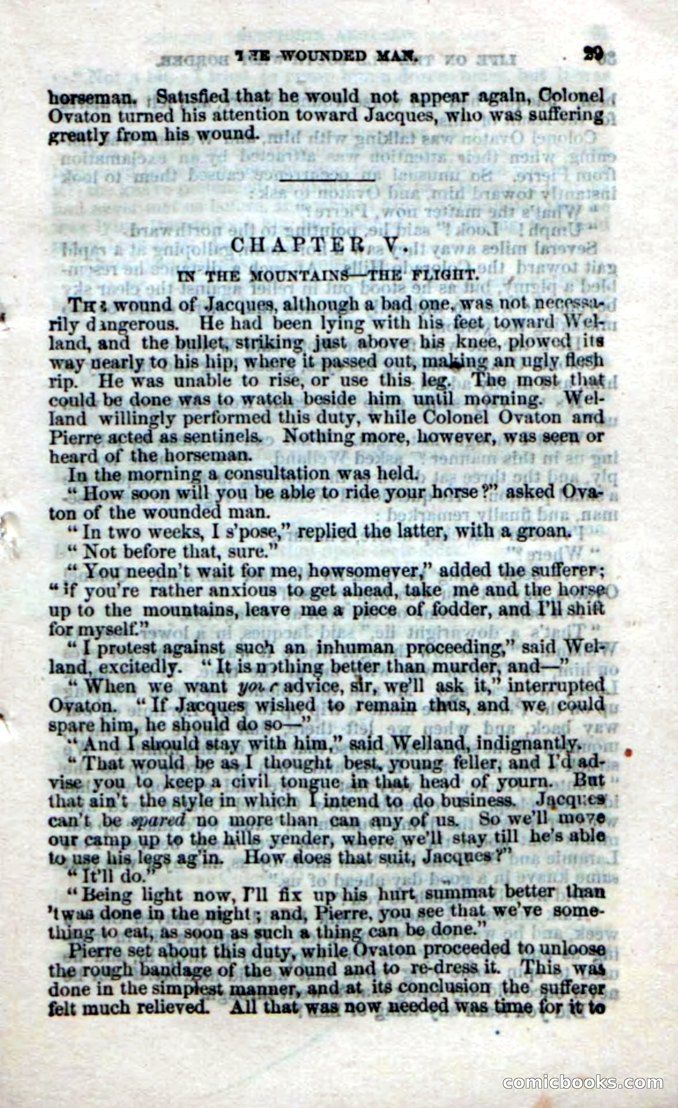 Beadle's Dime Novels No. 32 — page 27 of 100