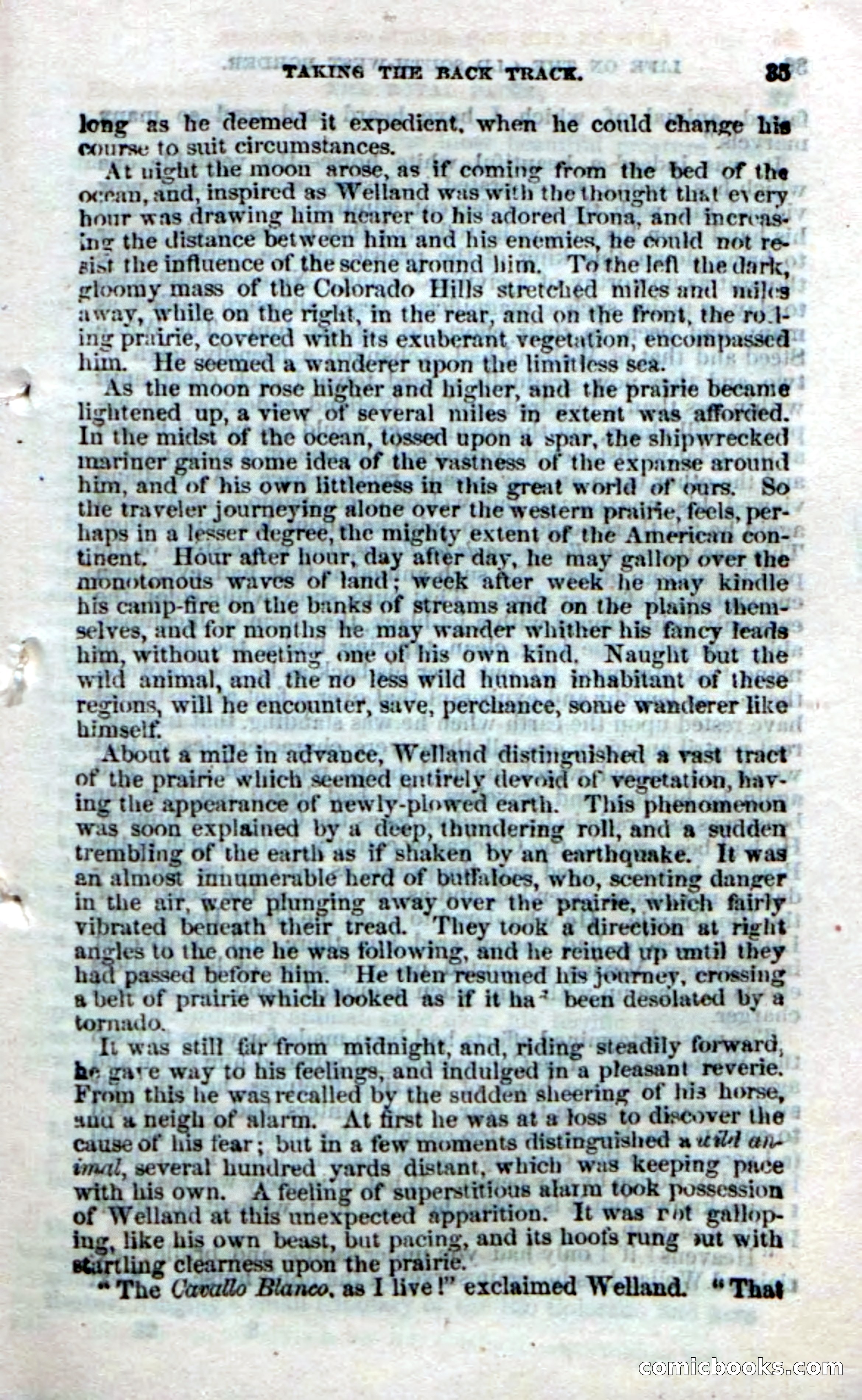Beadle's Dime Novels No. 32 — page 33 of 100
