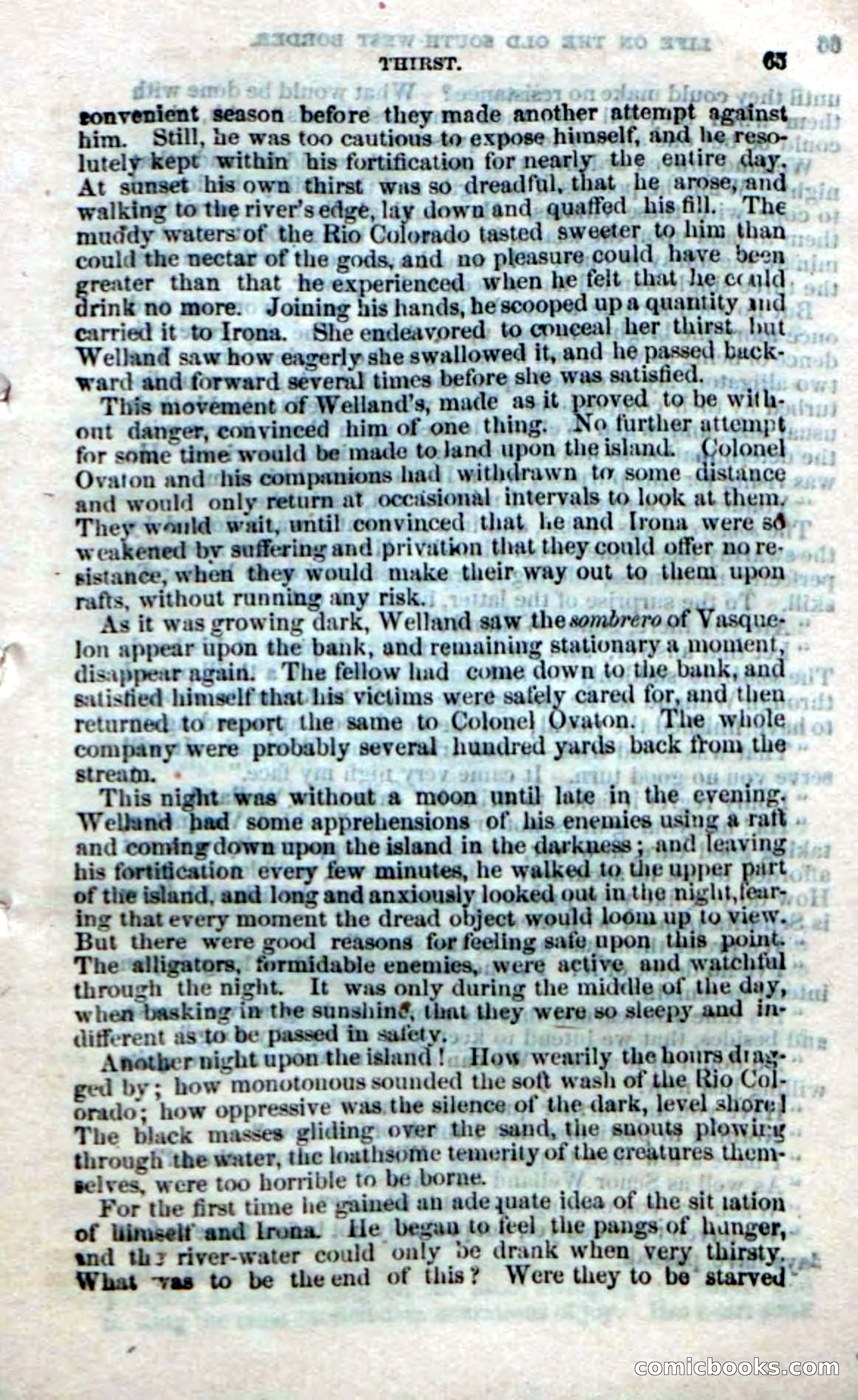 Beadle's Dime Novels No. 32 — page 63 of 100