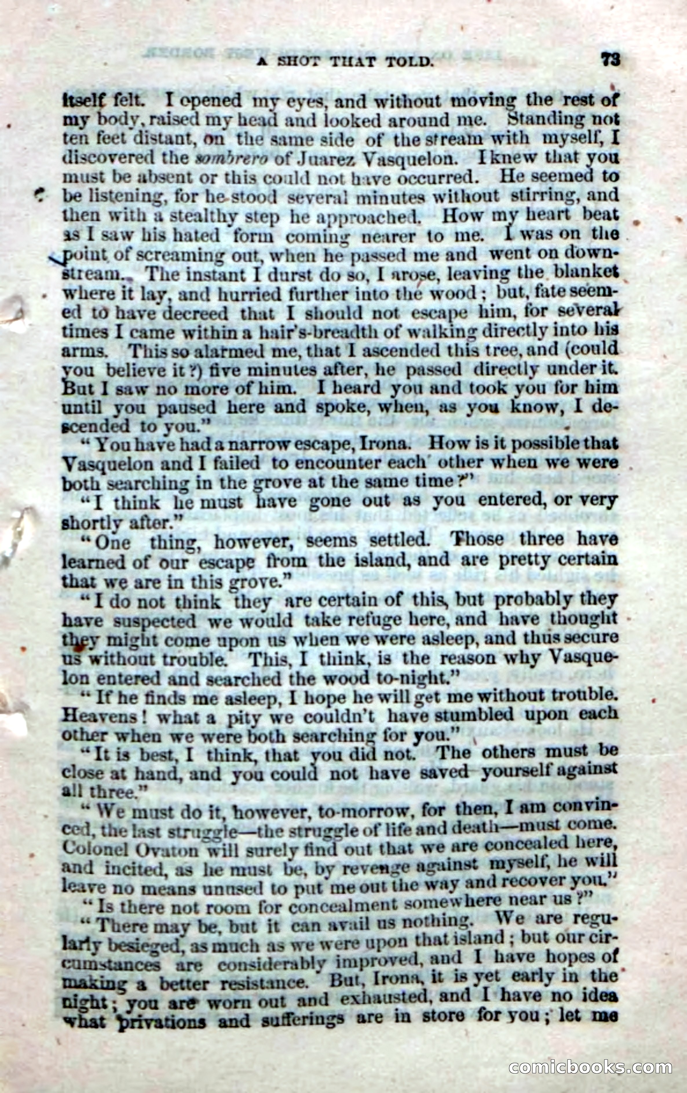 Beadle's Dime Novels No. 32 — page 71 of 100