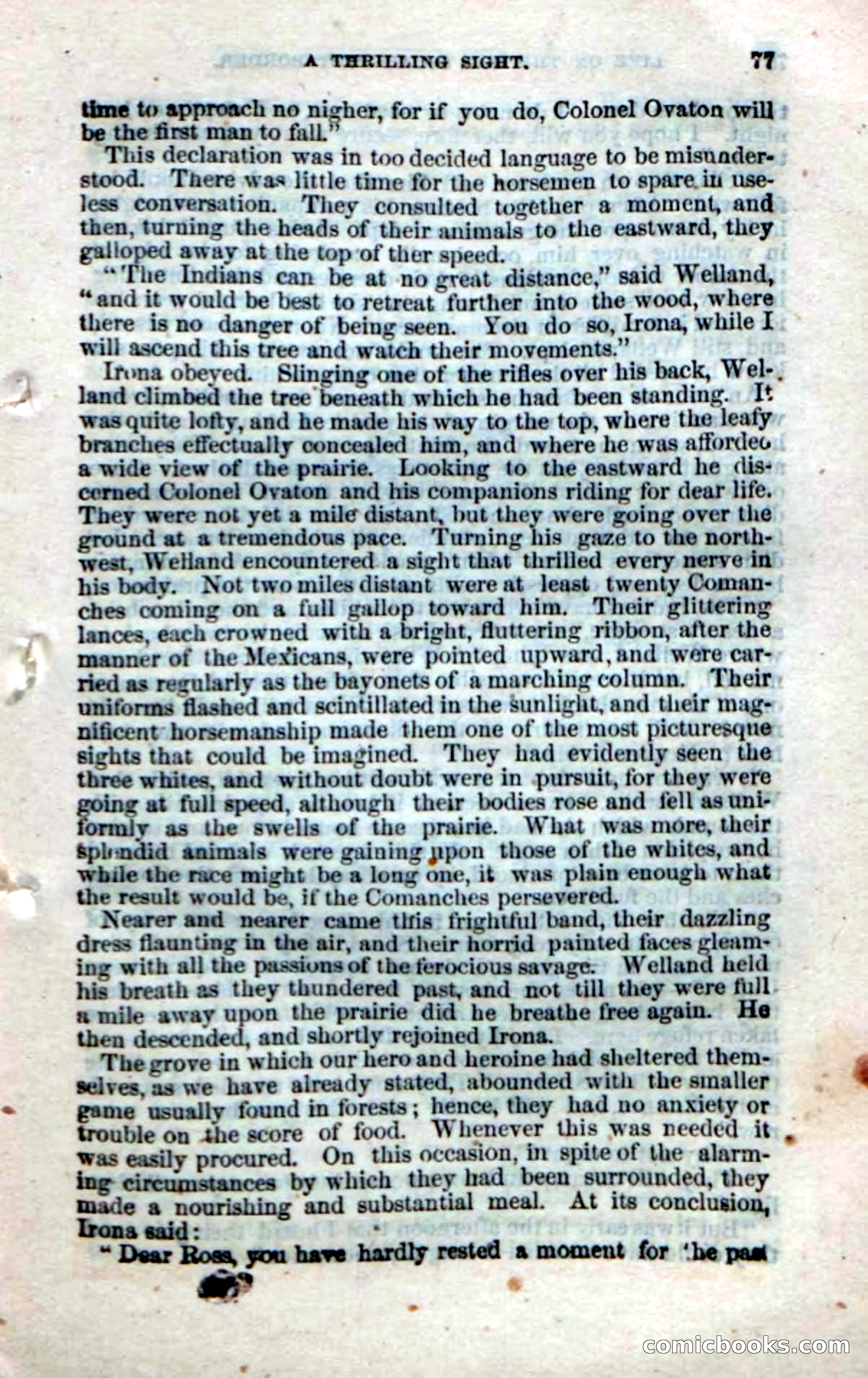 Beadle's Dime Novels No. 32 — page 75 of 100
