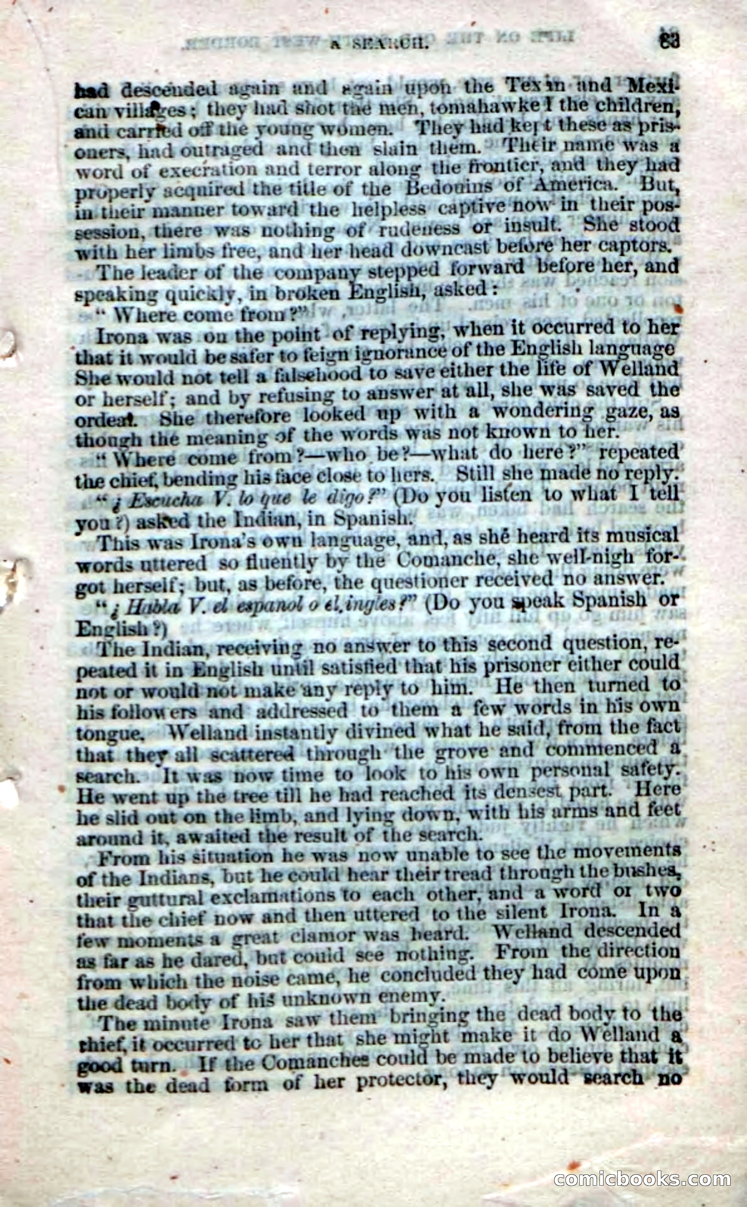 Beadle's Dime Novels No. 32 — page 81 of 100