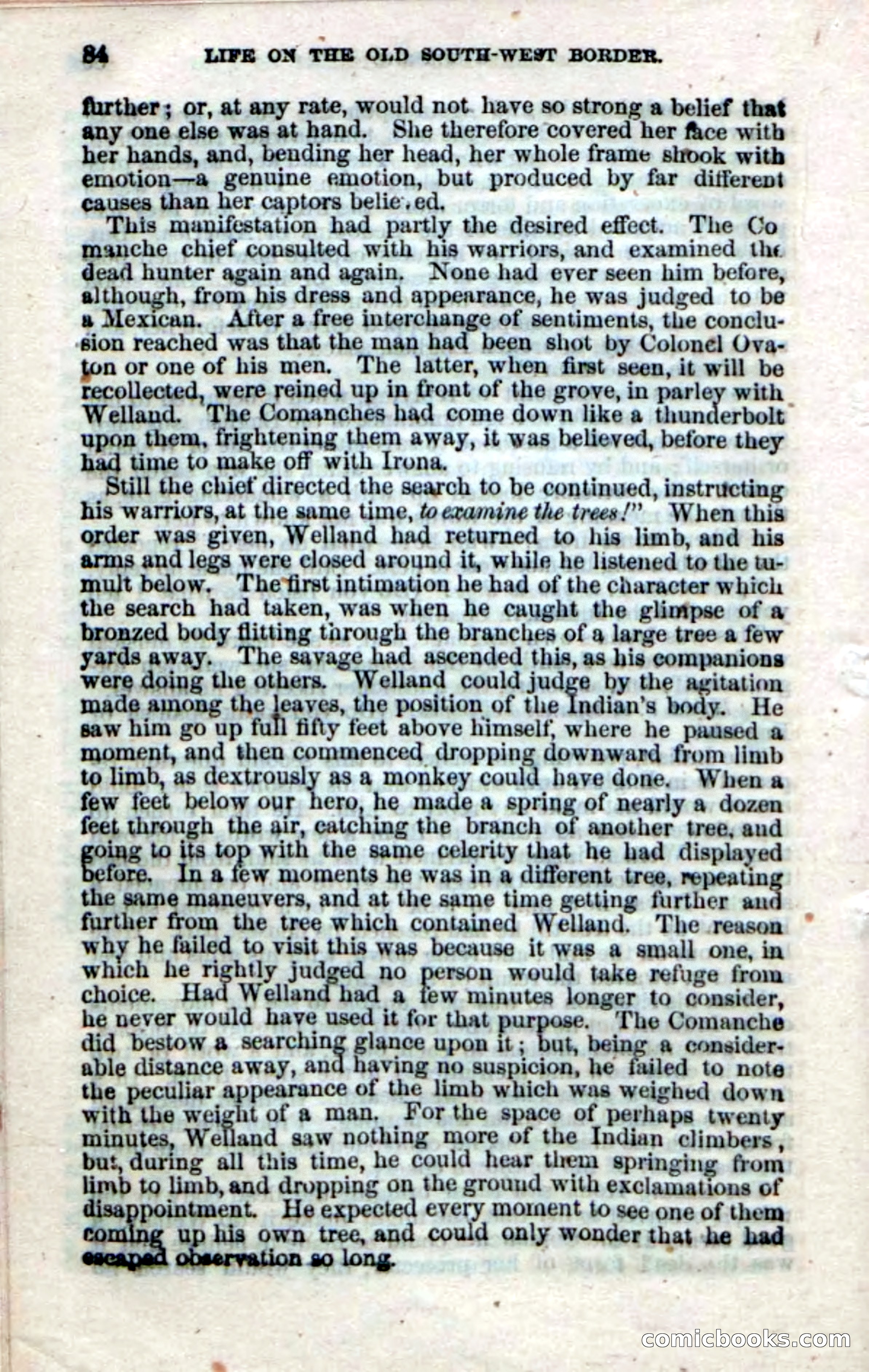 Beadle's Dime Novels No. 32 — page 82 of 100