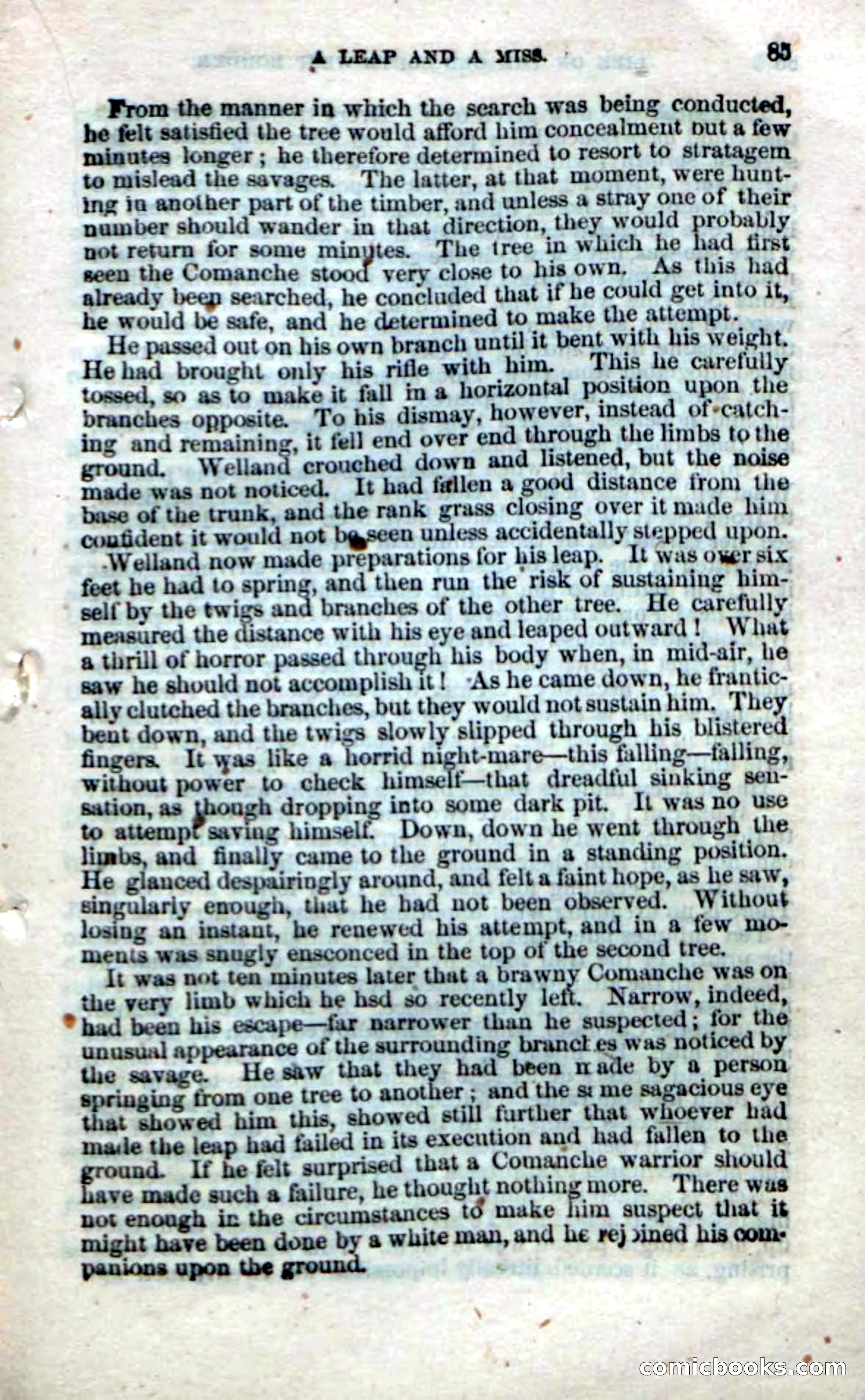 Beadle's Dime Novels No. 32 — page 83 of 100