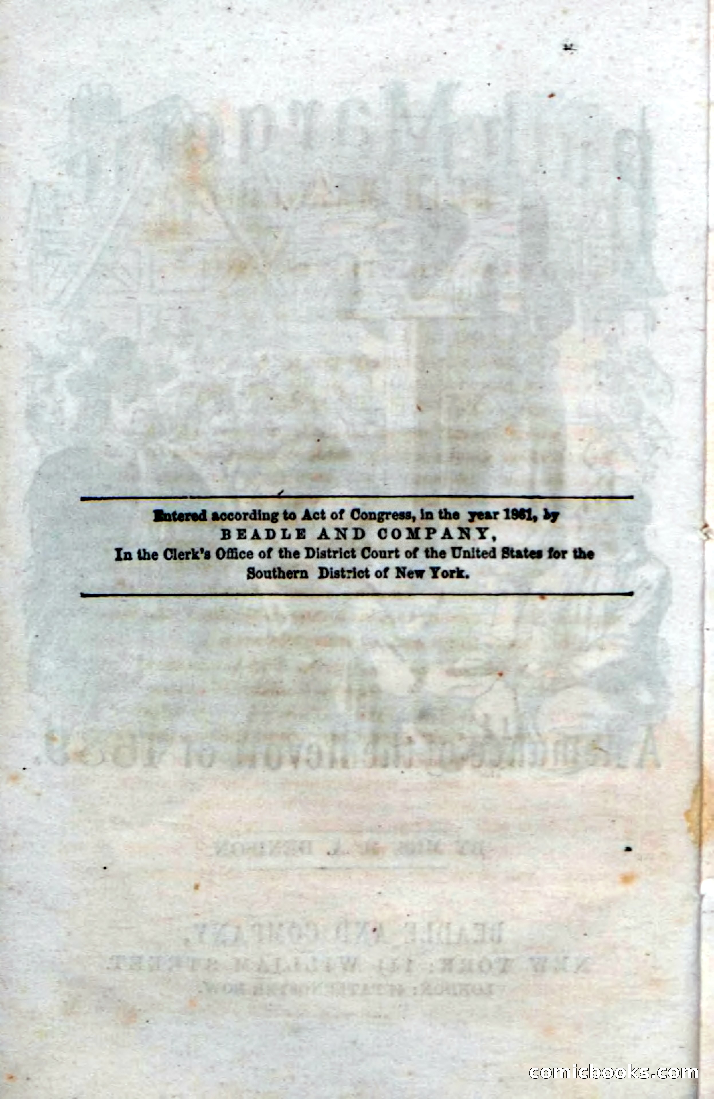 Beadle's Dime Novels, No. 34: Ruth Margerie — page 6 of 113