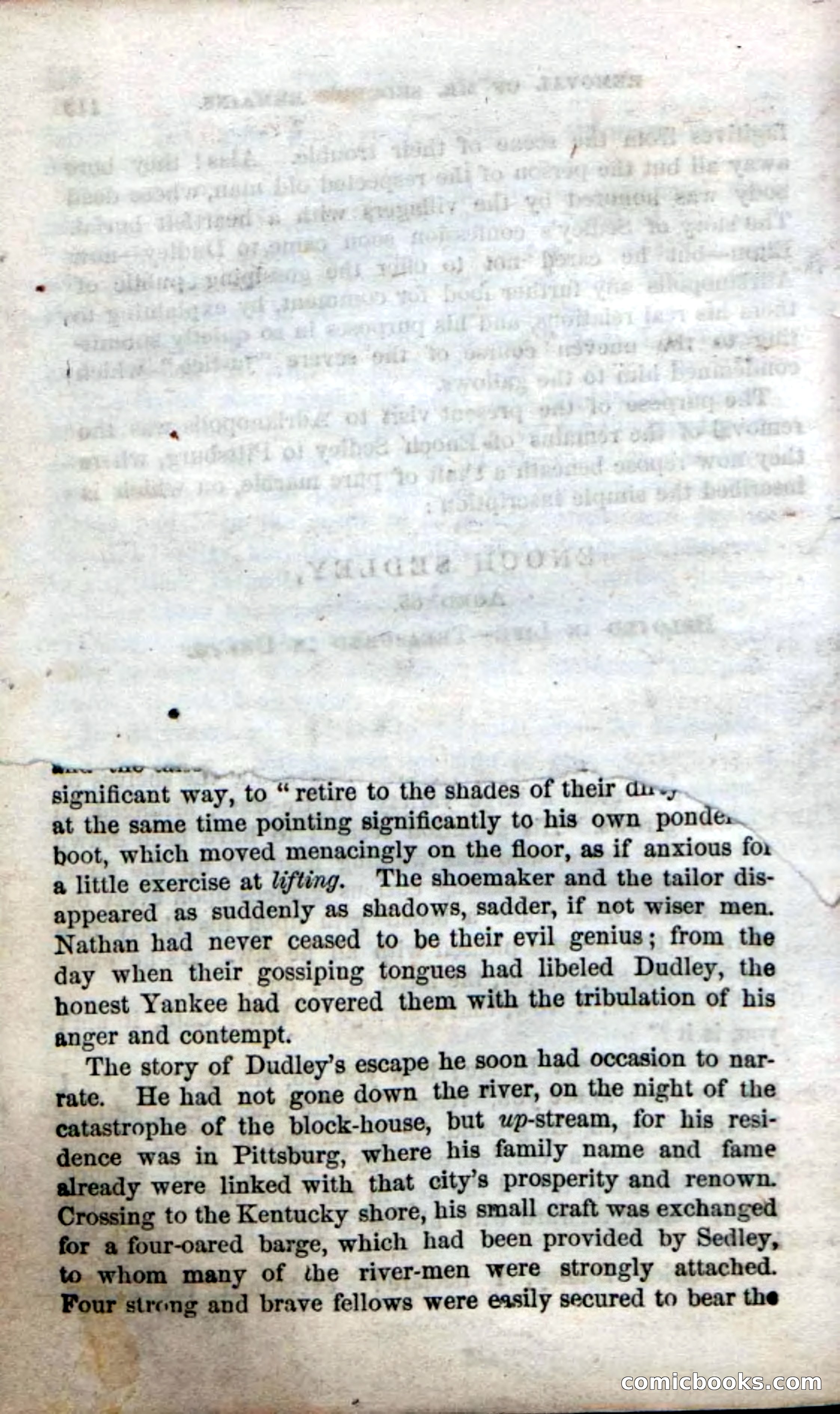 Beadle's Dime Novels No. 38: The Wrong Man — page 118 of 120