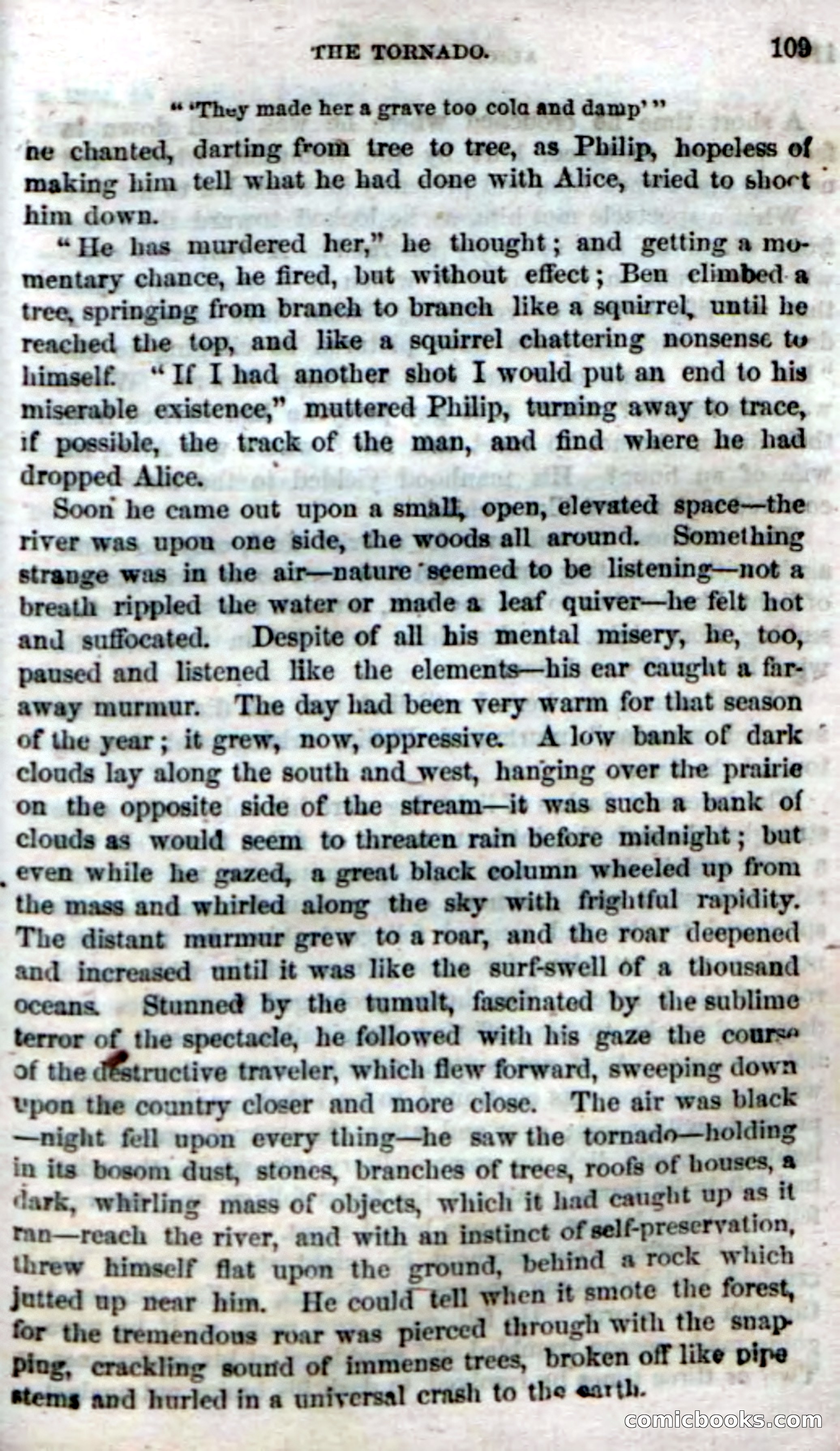 Beadle's Dime Novels No. 4 — page 113 of 123