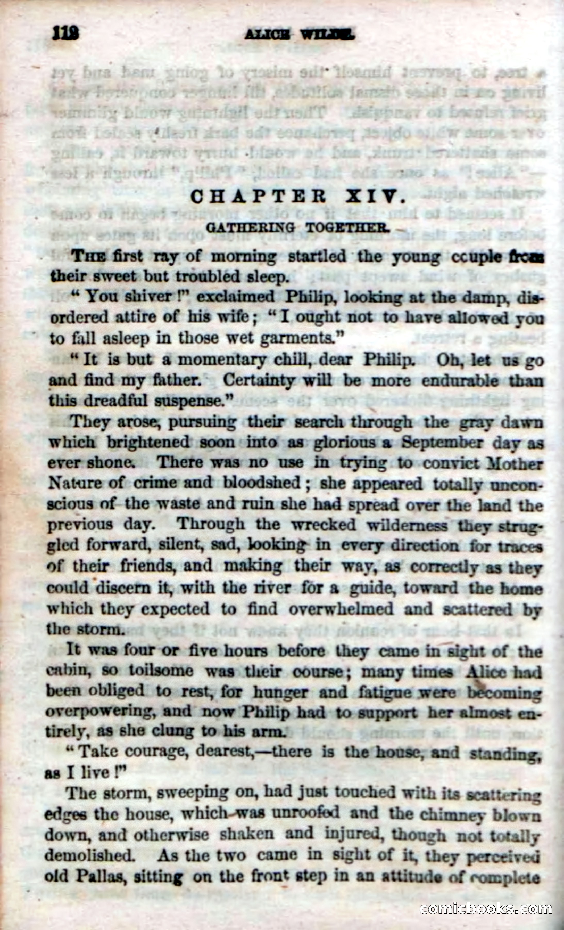 Beadle's Dime Novels No. 4 — page 116 of 123