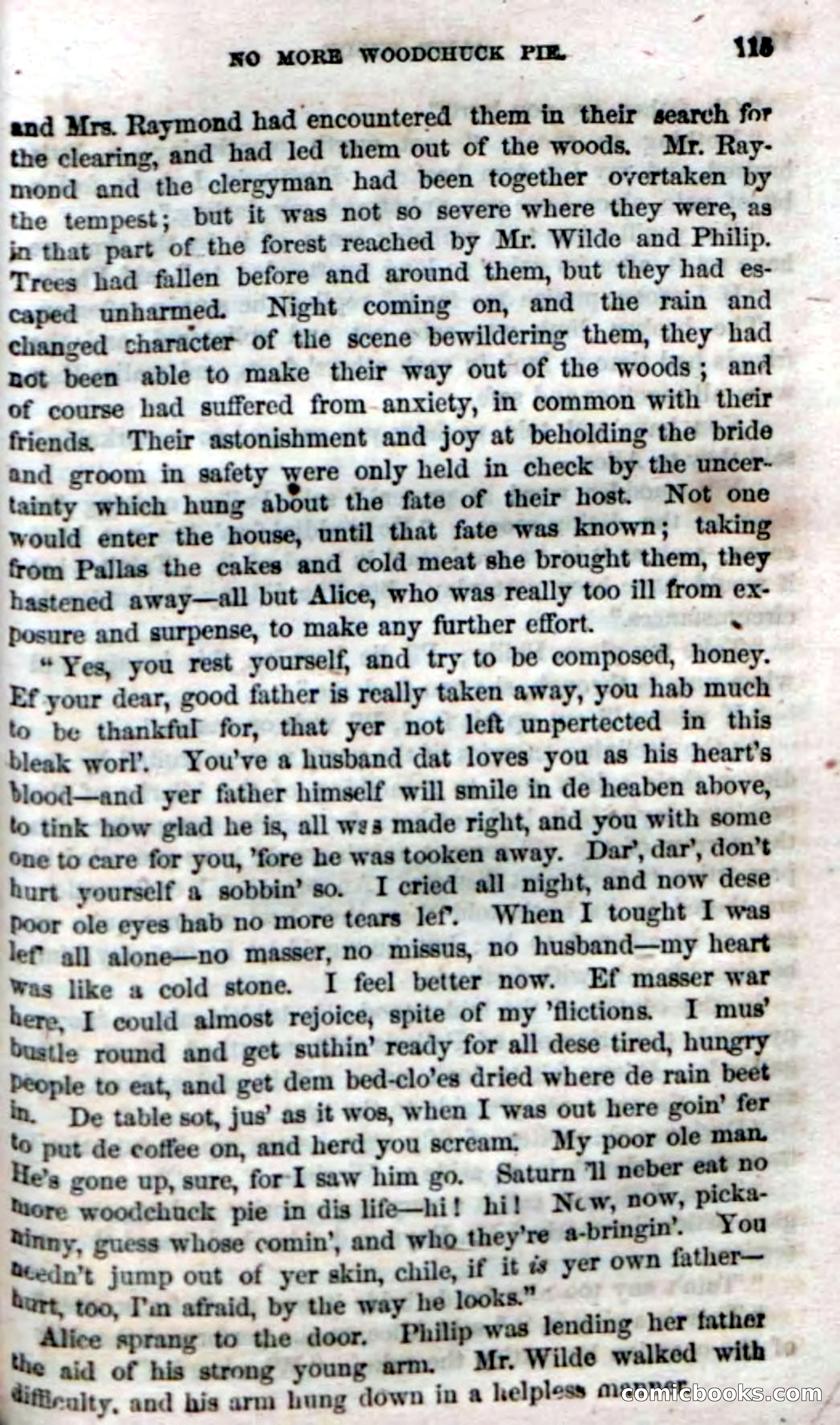 Beadle's Dime Novels No. 4 — page 119 of 123