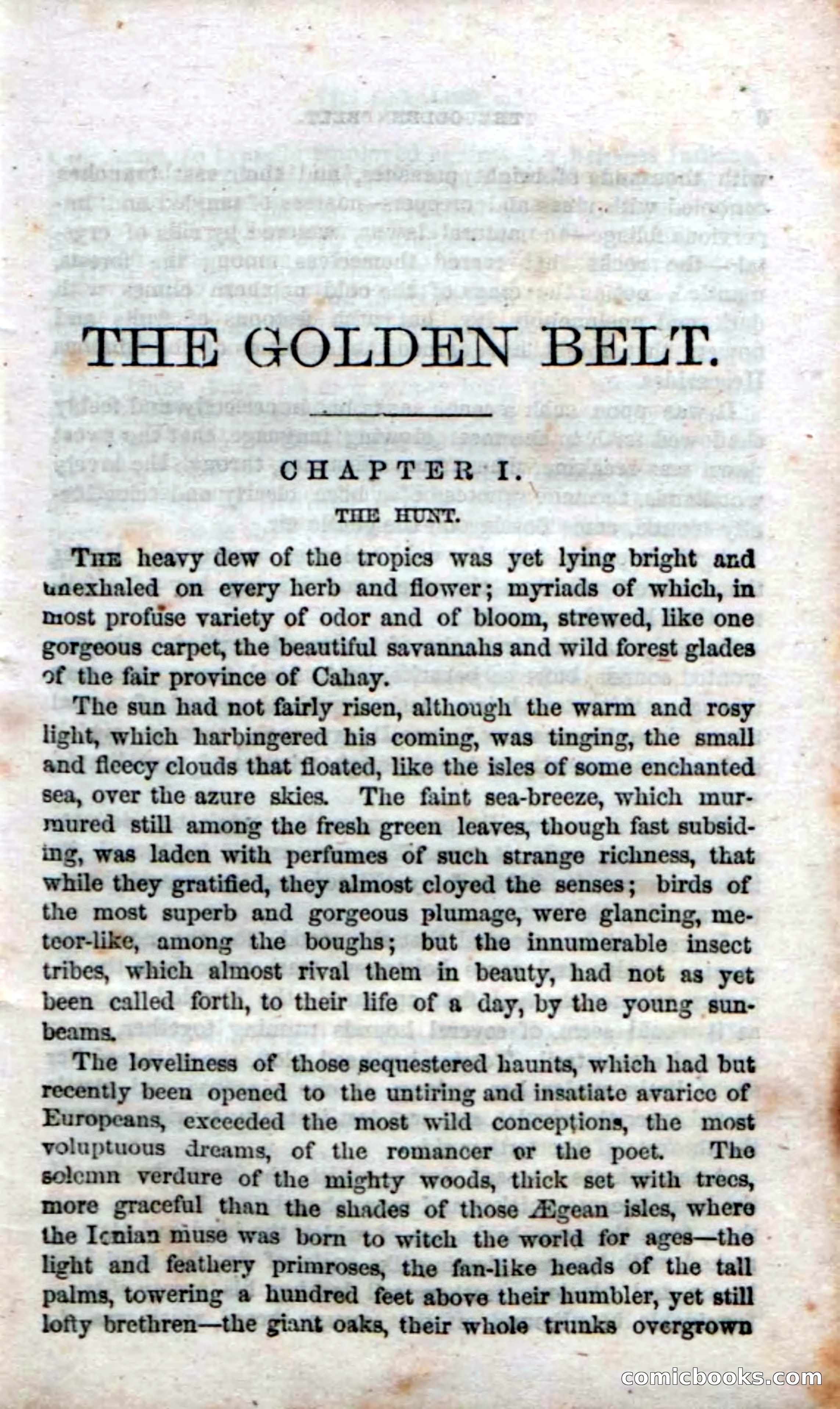 The Golden Belt — page 6 of 139