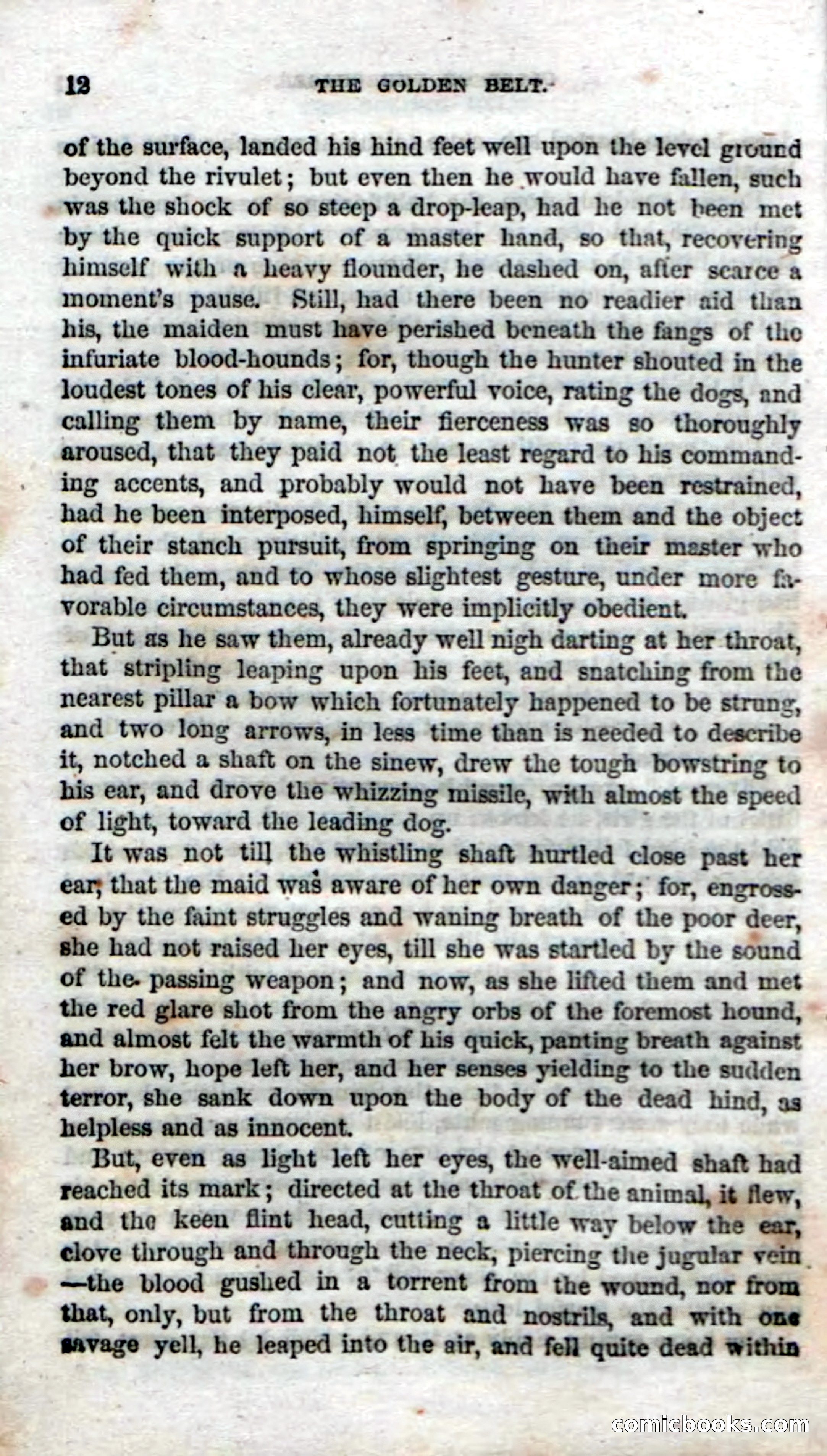 The Golden Belt — page 13 of 139