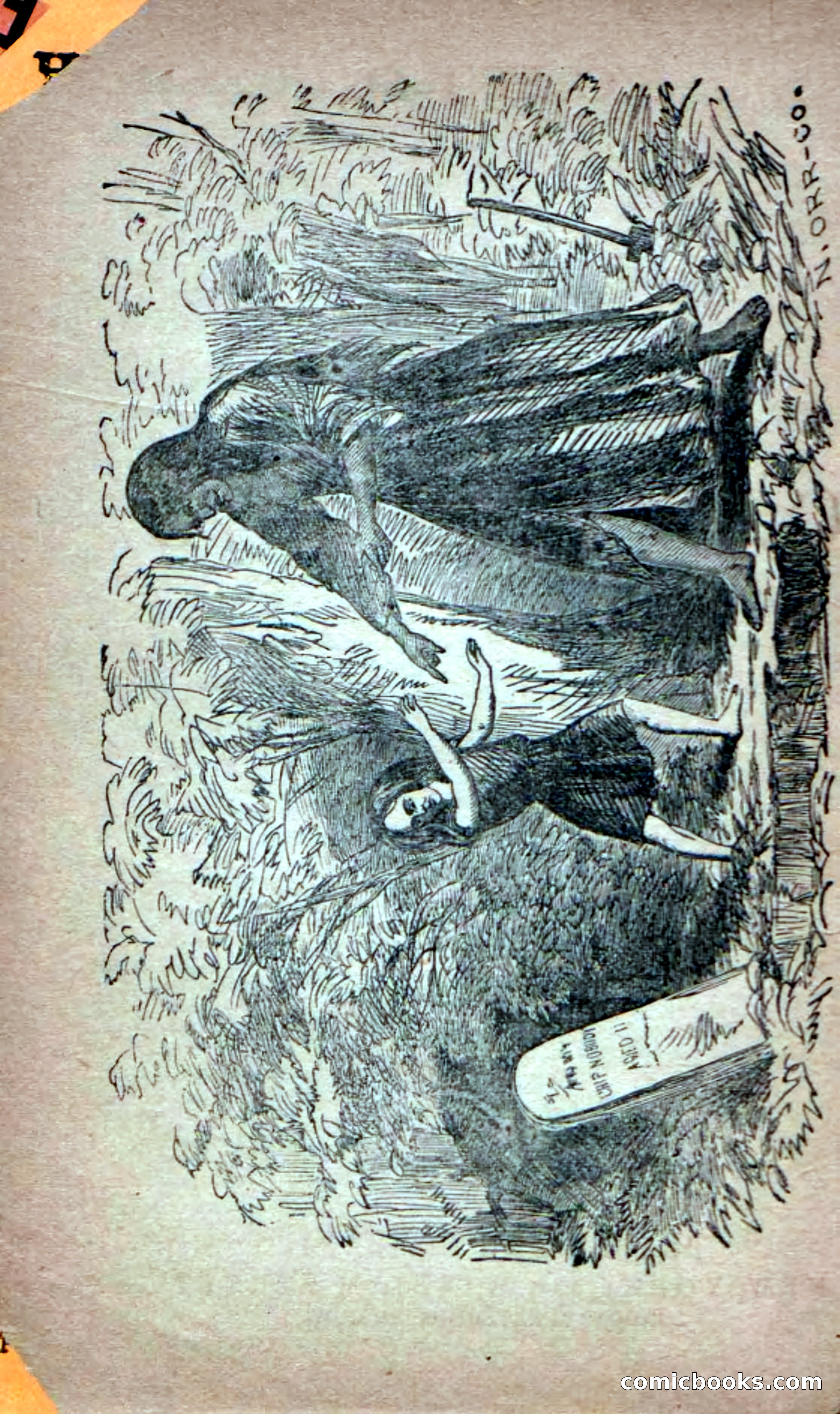 Beadle's Dime Novels No. 6: Chip, the Cave-Child — page 4 of 100