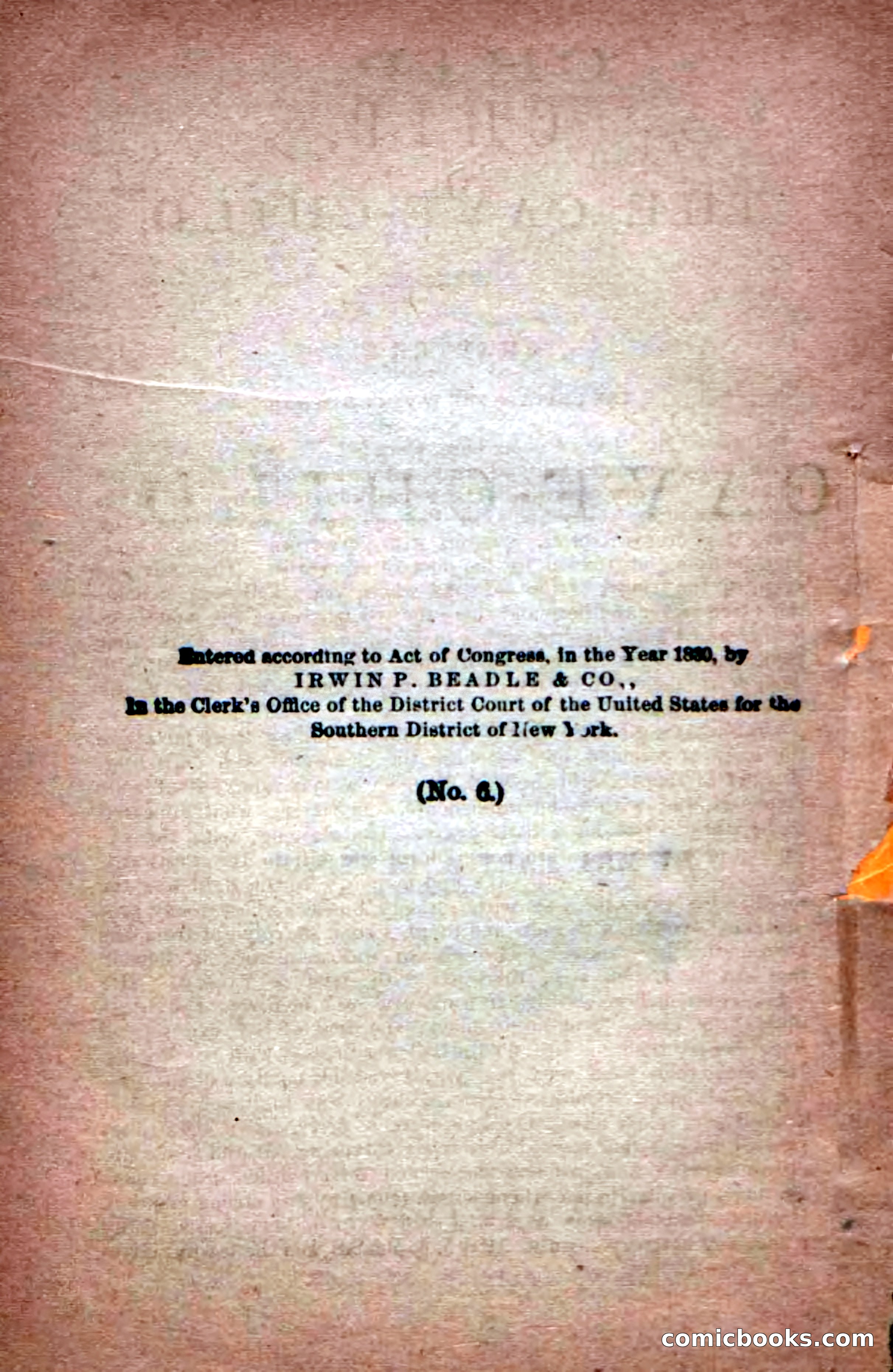 Beadle's Dime Novels No. 6: Chip, the Cave-Child — page 6 of 100