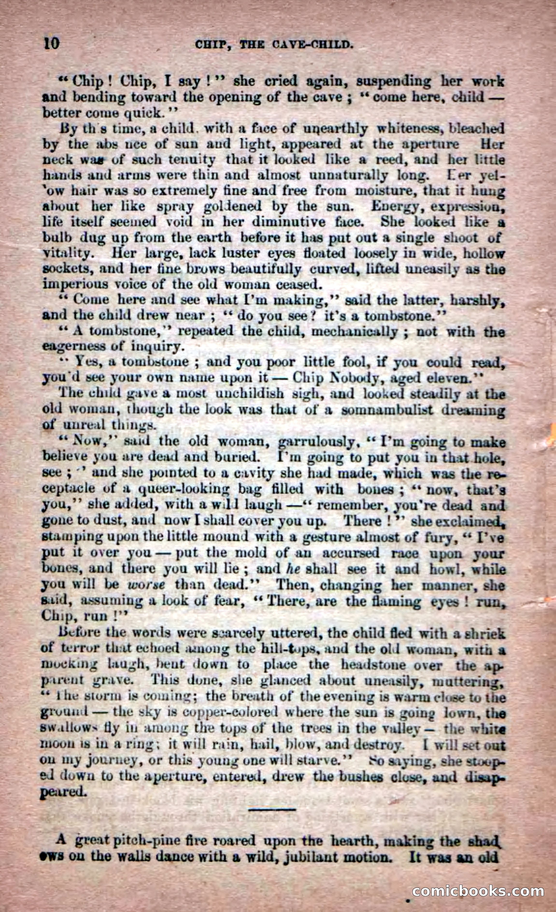 Beadle's Dime Novels No. 6: Chip, the Cave-Child — page 8 of 100