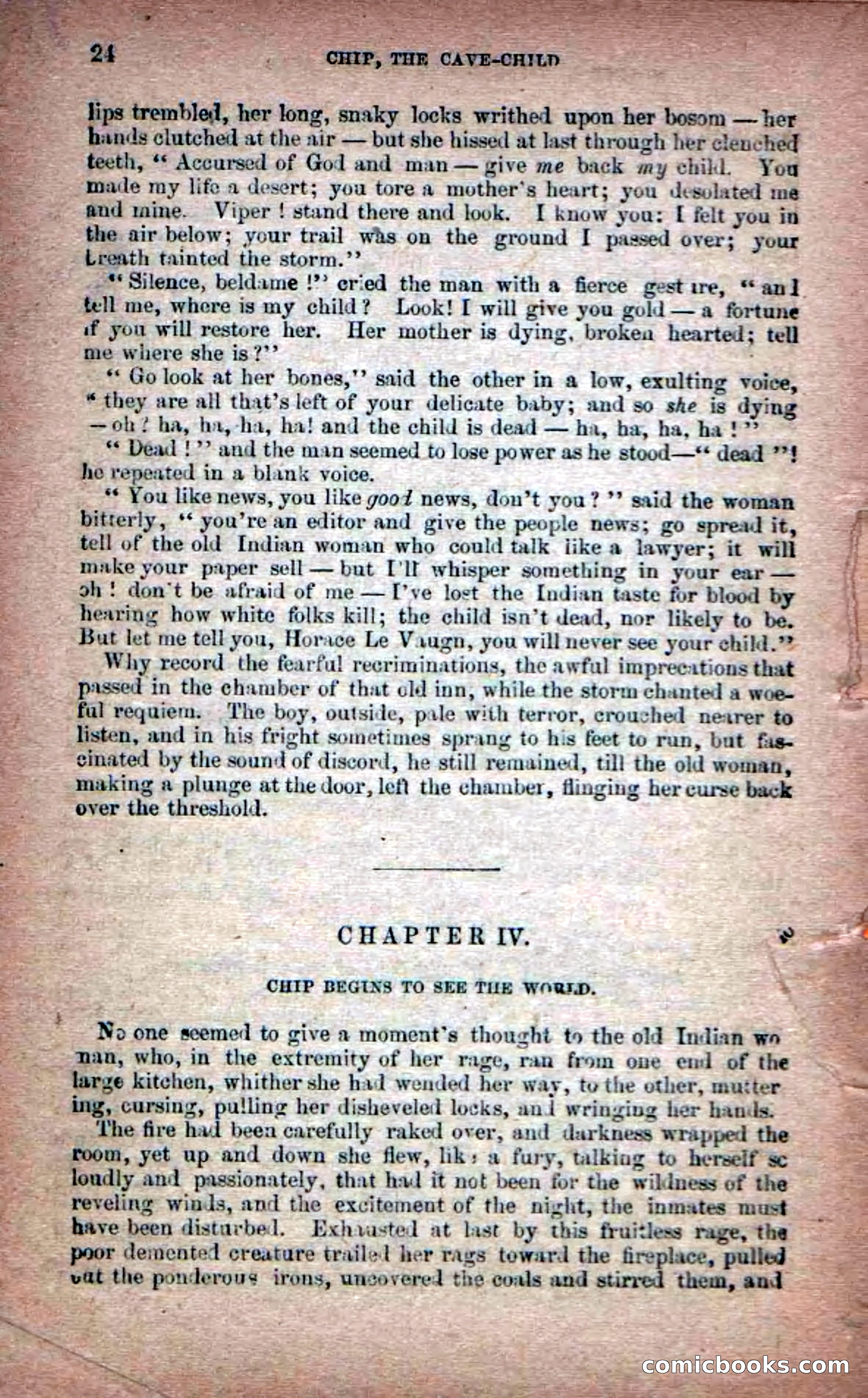 Beadle's Dime Novels No. 6: Chip, the Cave-Child — page 22 of 100