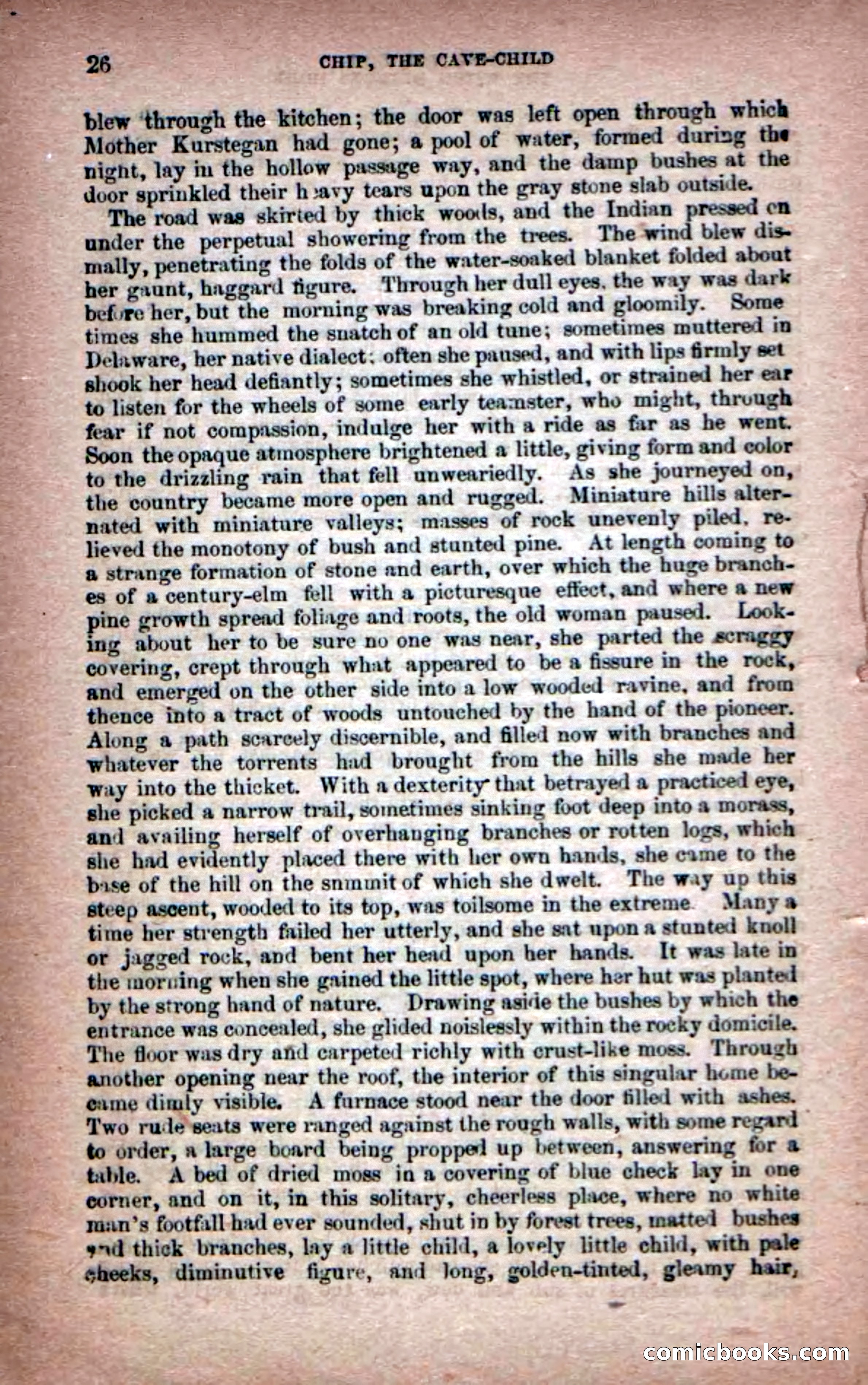 Beadle's Dime Novels No. 6: Chip, the Cave-Child — page 24 of 100