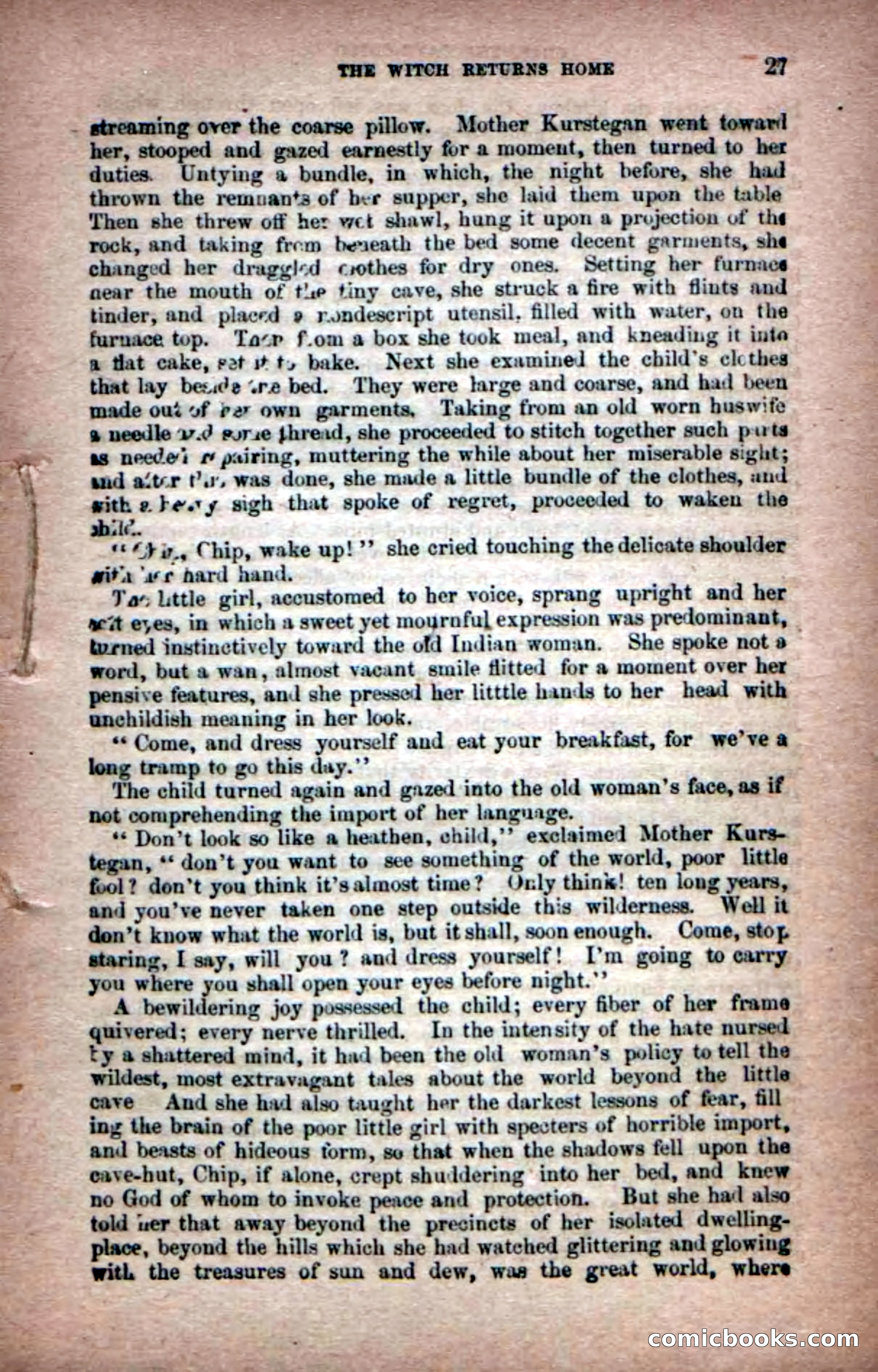 Beadle's Dime Novels No. 6: Chip, the Cave-Child — page 25 of 100