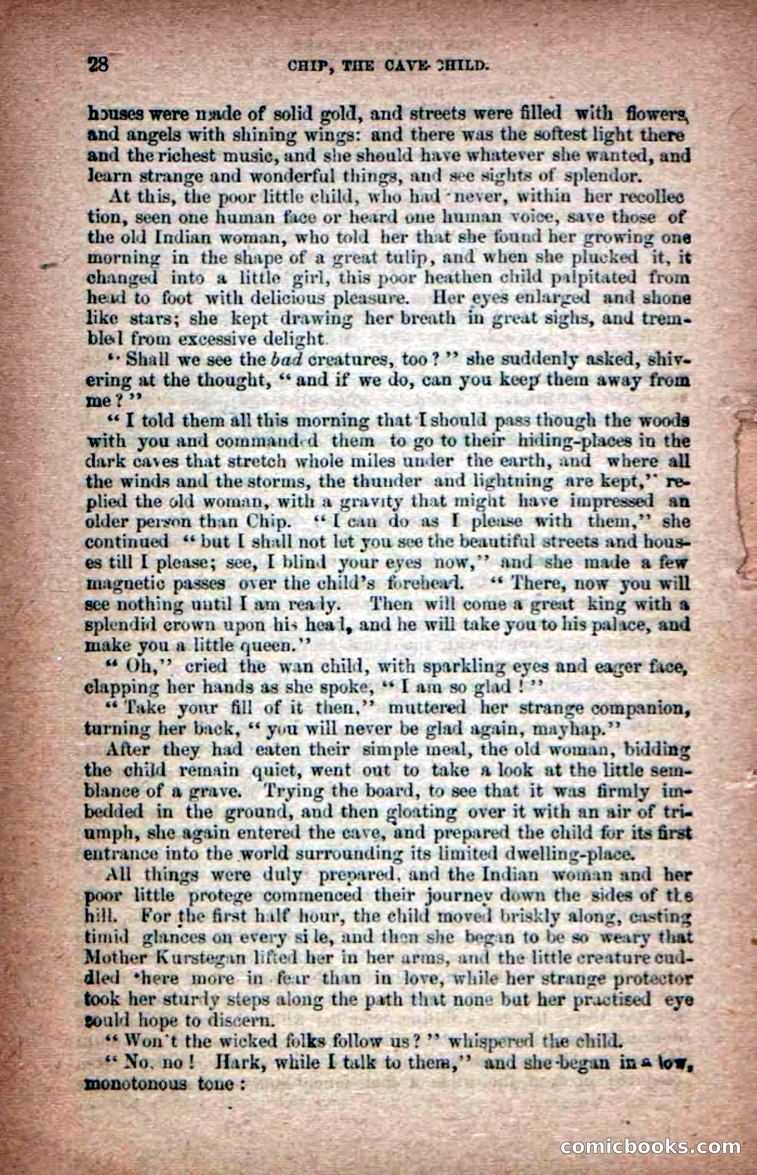 Beadle's Dime Novels No. 6: Chip, the Cave-Child — page 26 of 100