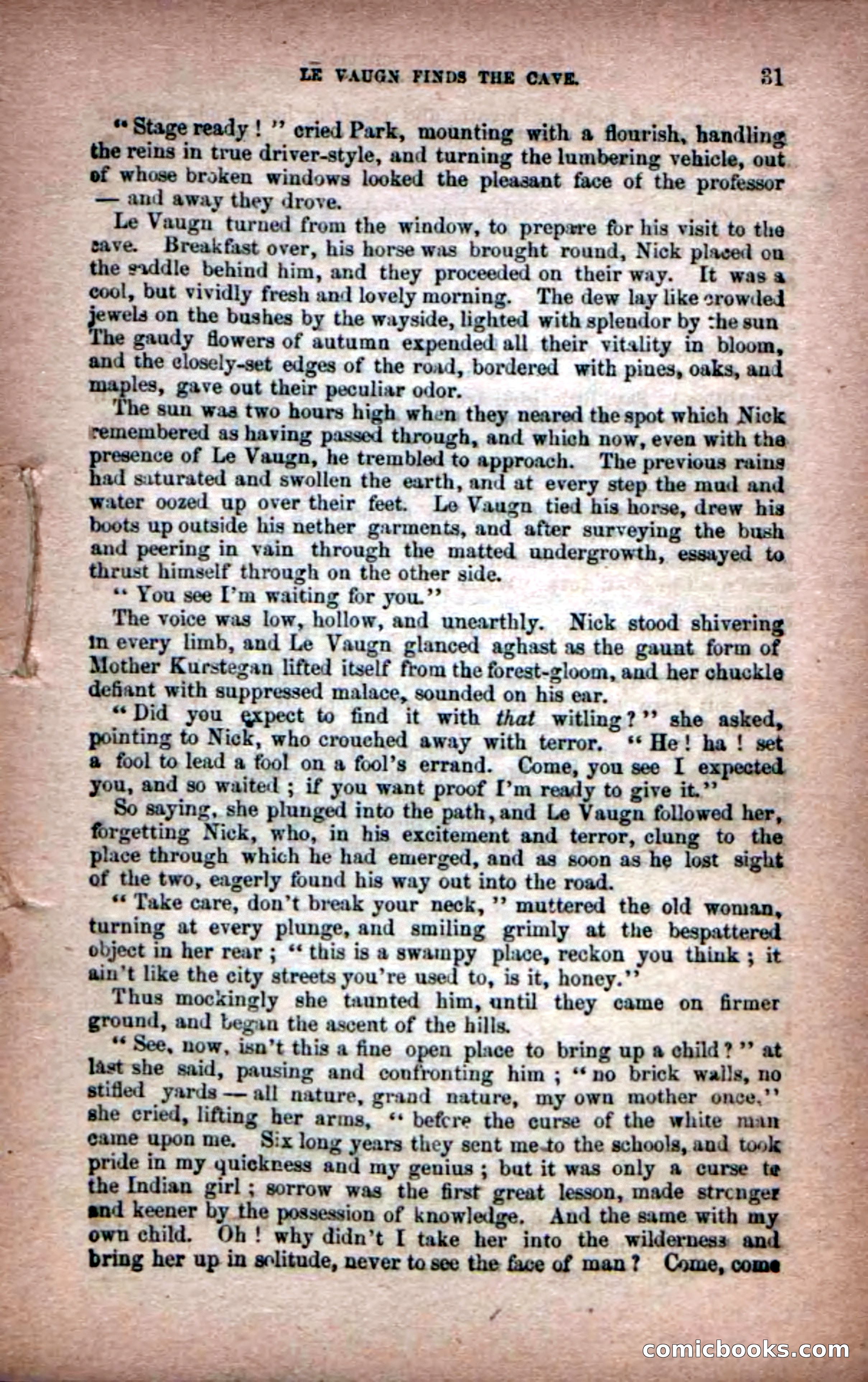 Beadle's Dime Novels No. 6: Chip, the Cave-Child — page 29 of 100
