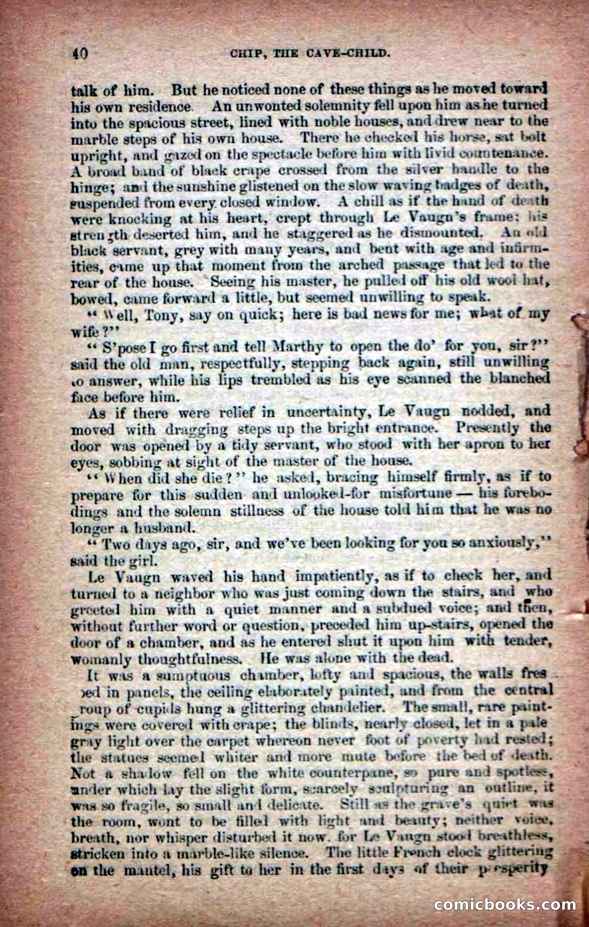 Beadle's Dime Novels No. 6: Chip, the Cave-Child — page 38 of 100