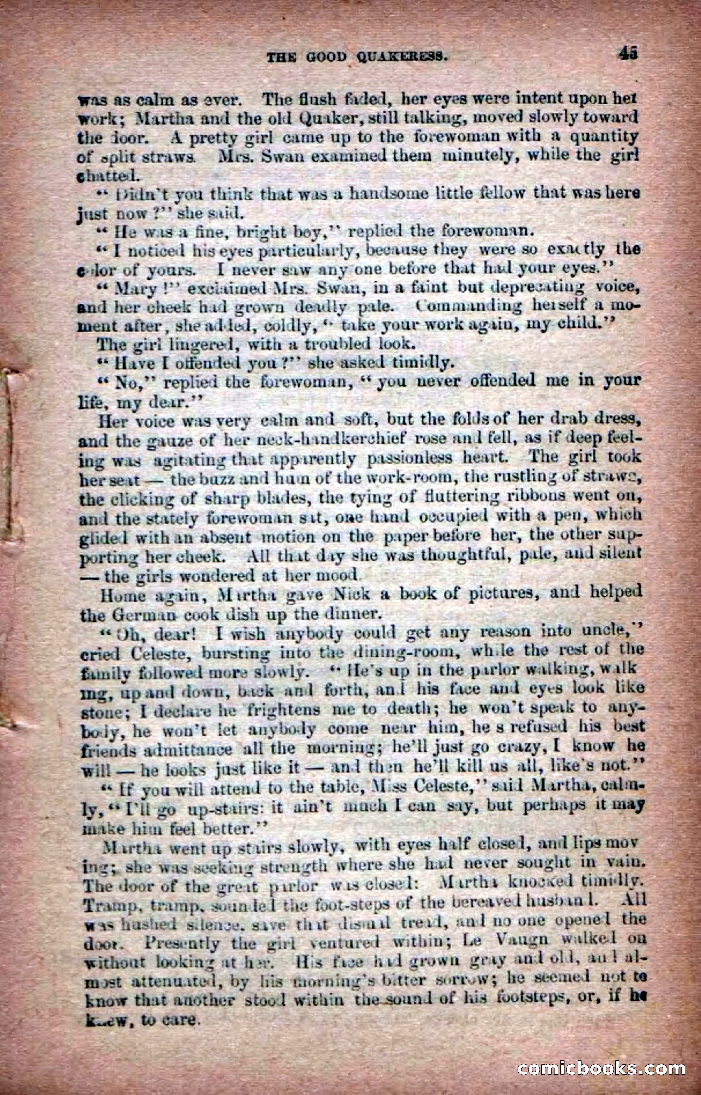 Beadle's Dime Novels No. 6: Chip, the Cave-Child — page 43 of 100