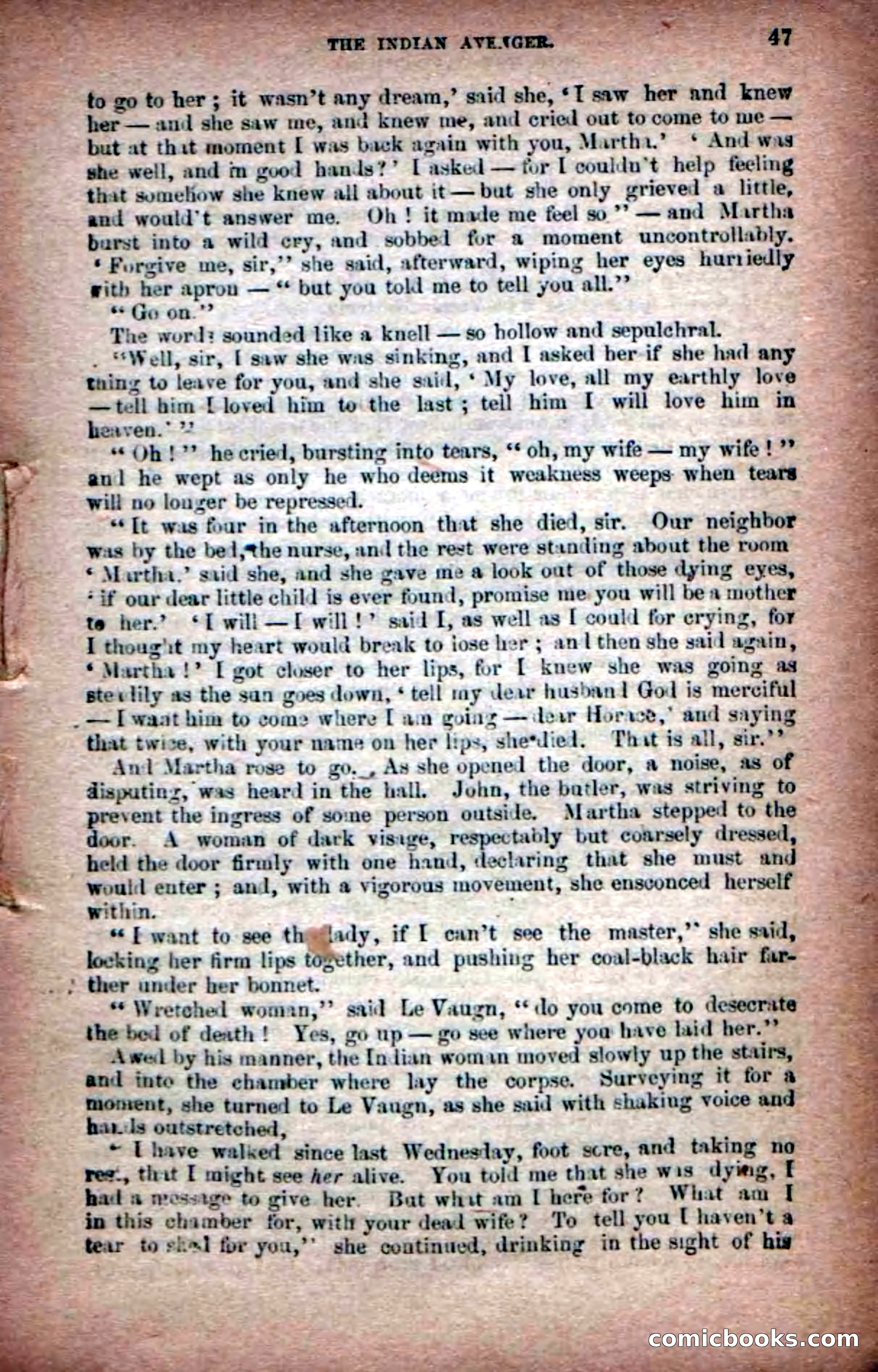 Beadle's Dime Novels No. 6: Chip, the Cave-Child — page 45 of 100