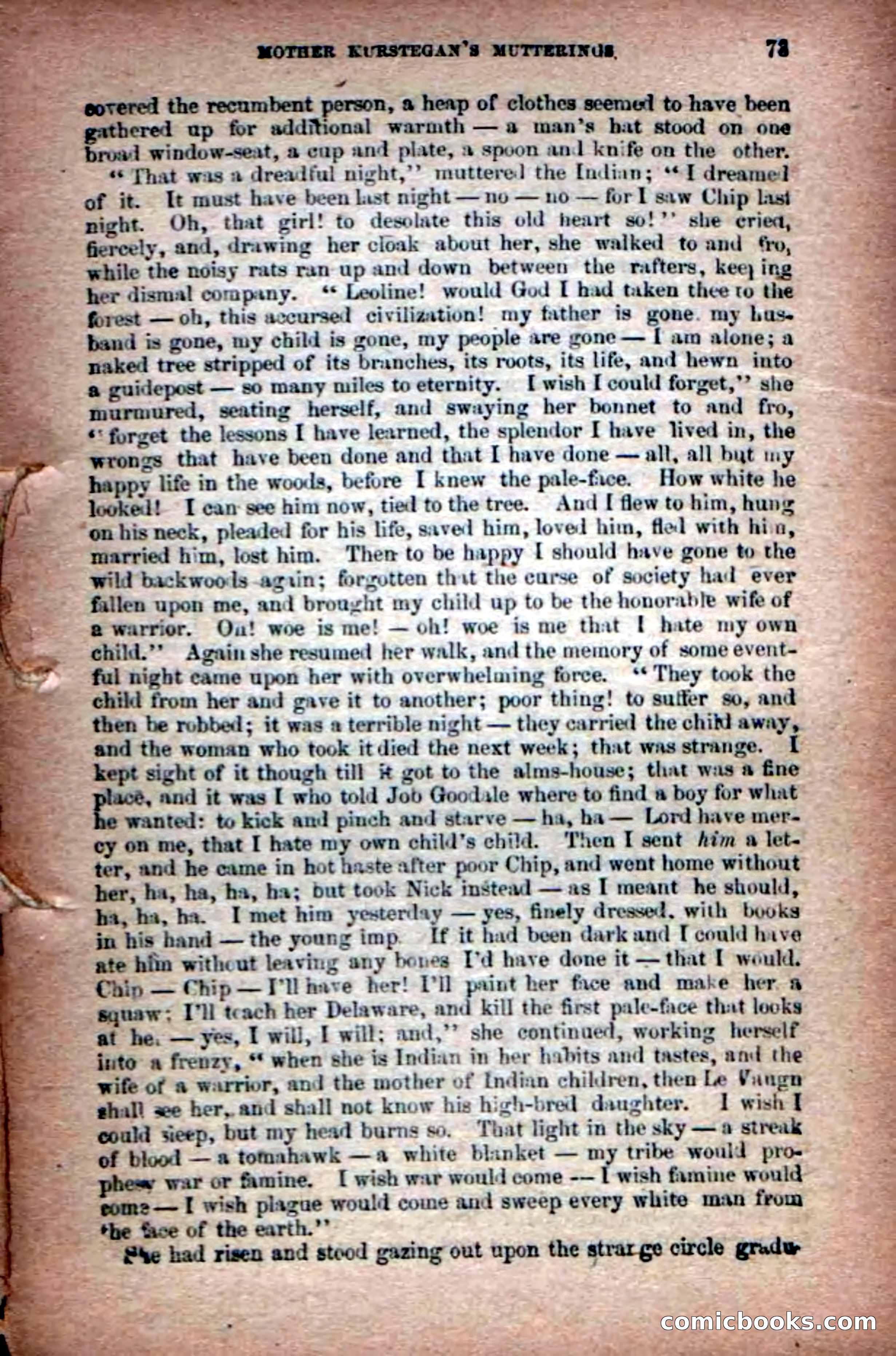 Beadle's Dime Novels No. 6: Chip, the Cave-Child — page 71 of 100
