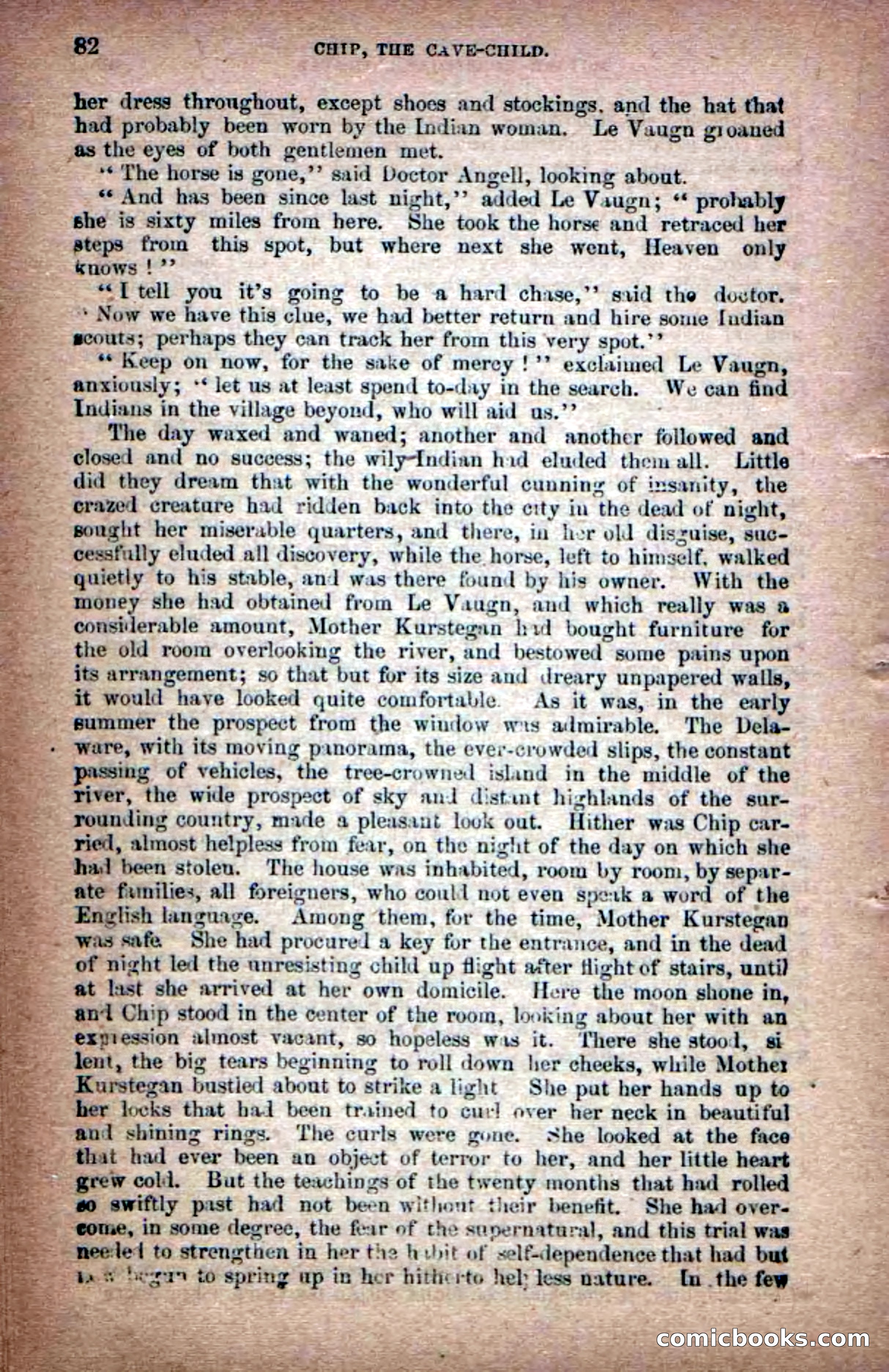 Beadle's Dime Novels No. 6: Chip, the Cave-Child — page 80 of 100