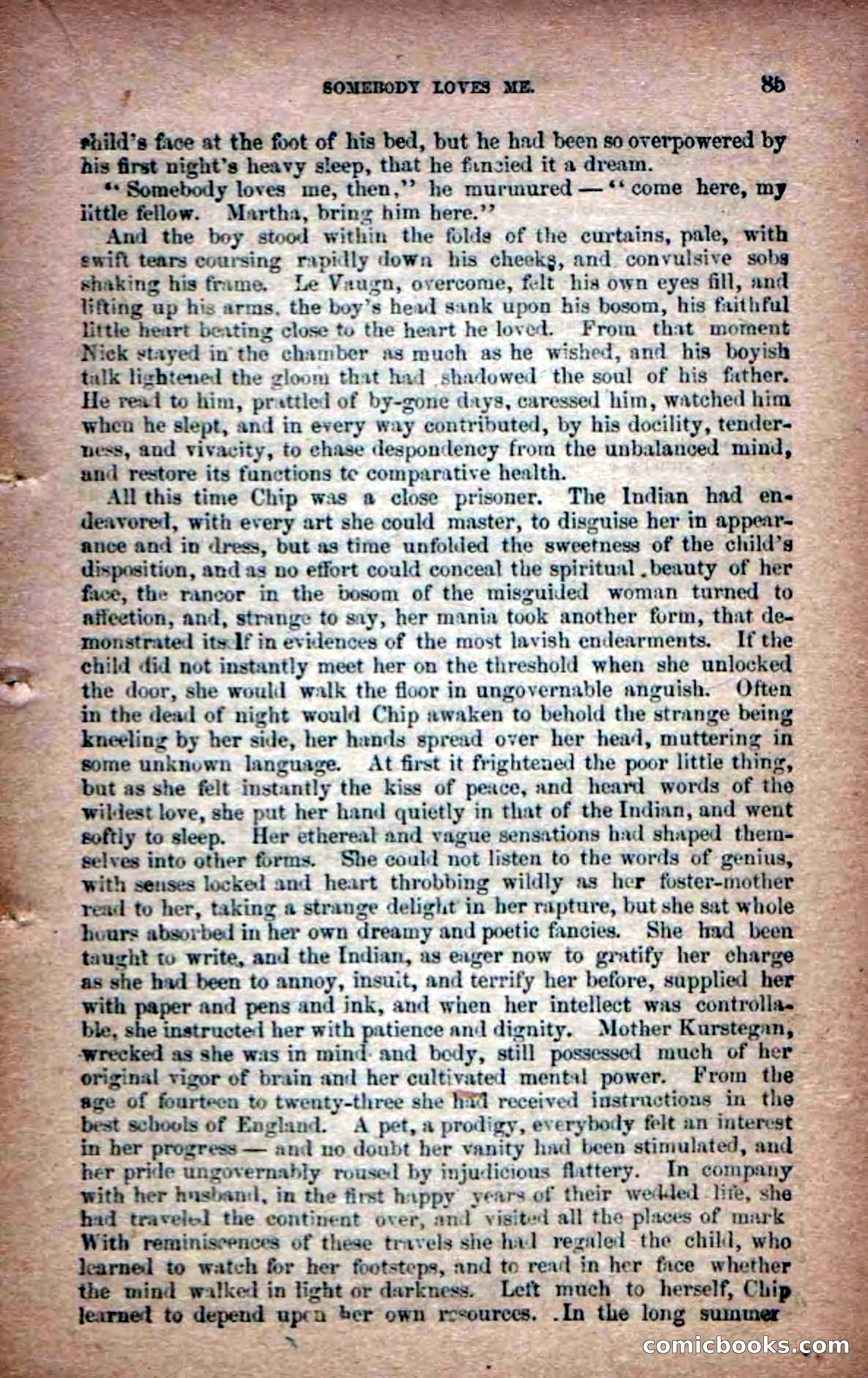 Beadle's Dime Novels No. 6: Chip, the Cave-Child — page 83 of 100