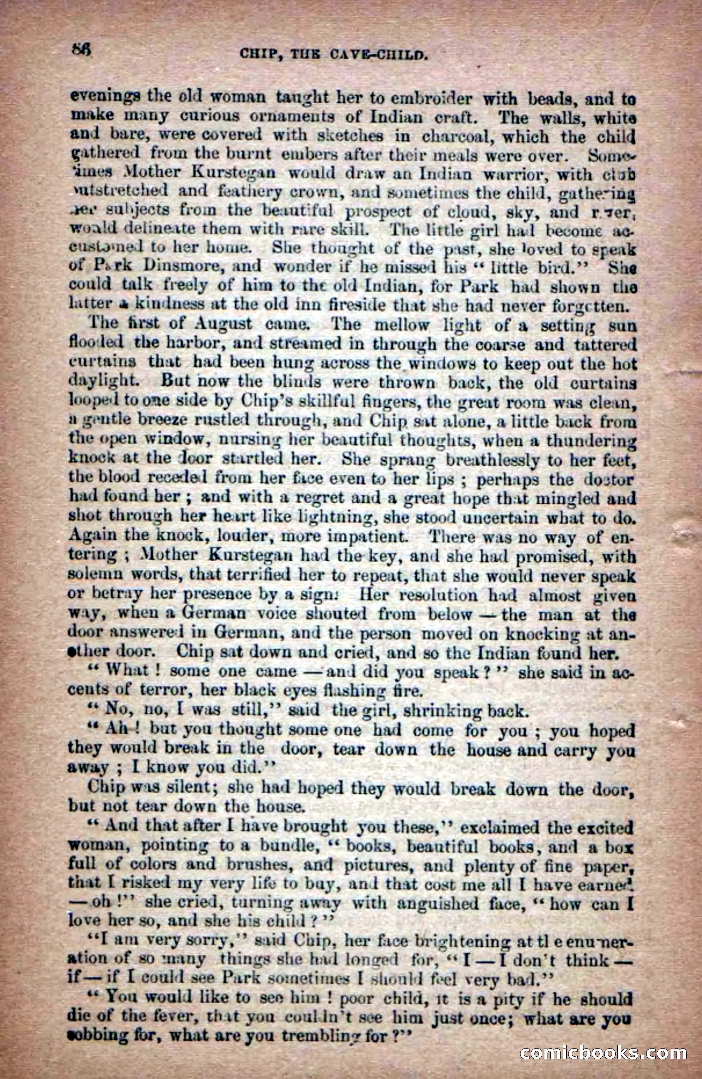 Beadle's Dime Novels No. 6: Chip, the Cave-Child — page 84 of 100