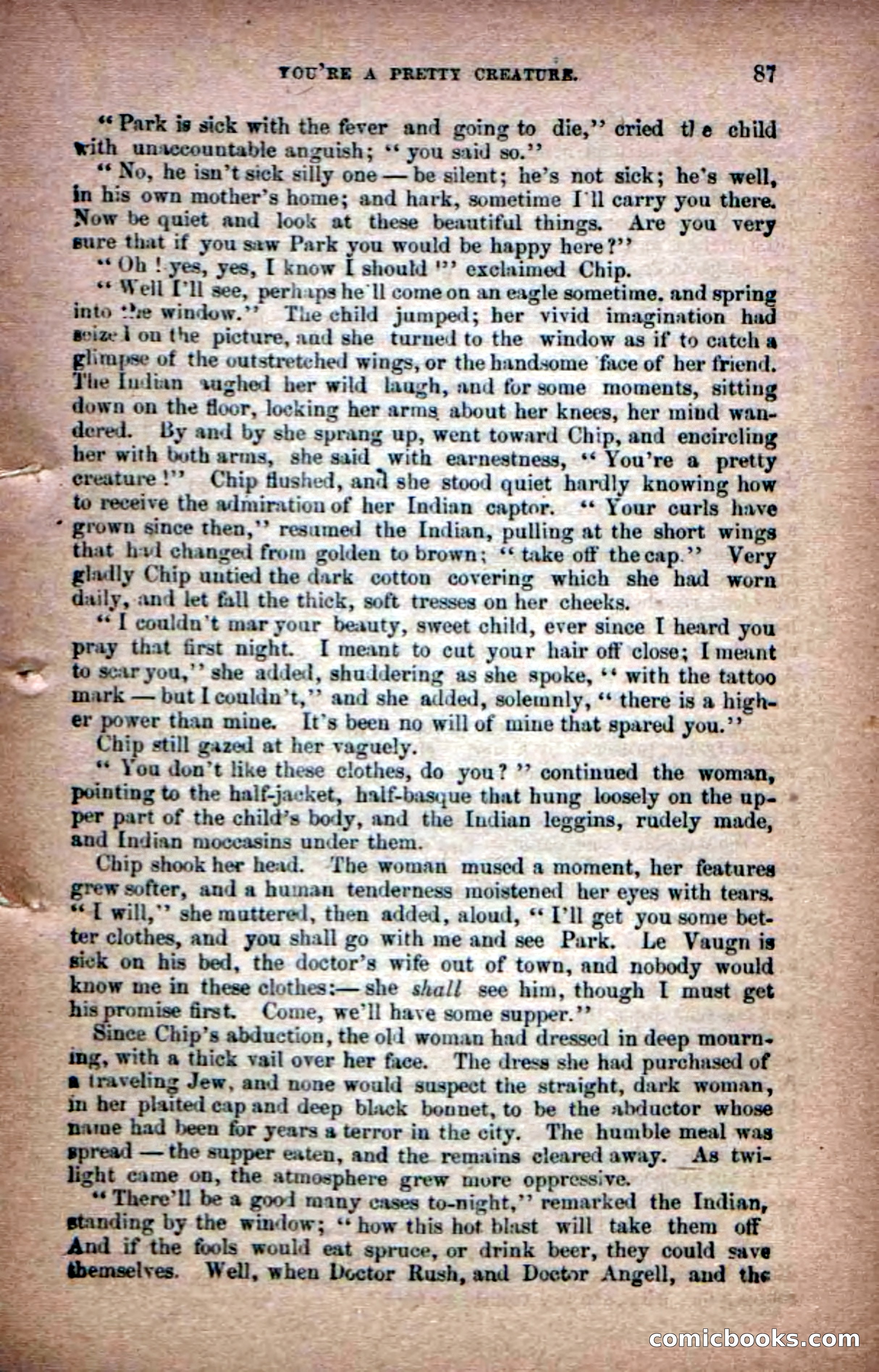 Beadle's Dime Novels No. 6: Chip, the Cave-Child — page 85 of 100