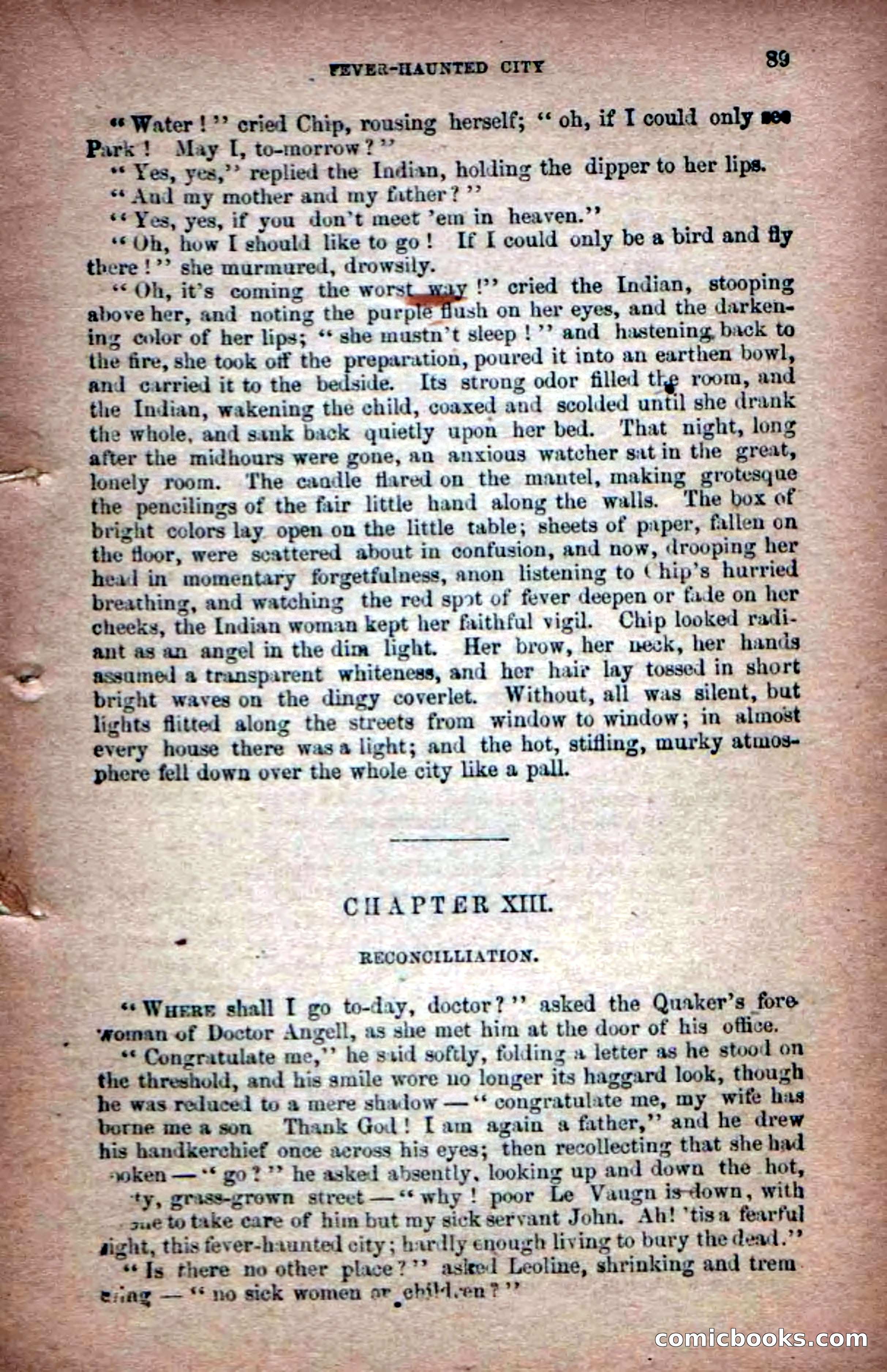 Beadle's Dime Novels No. 6: Chip, the Cave-Child — page 87 of 100